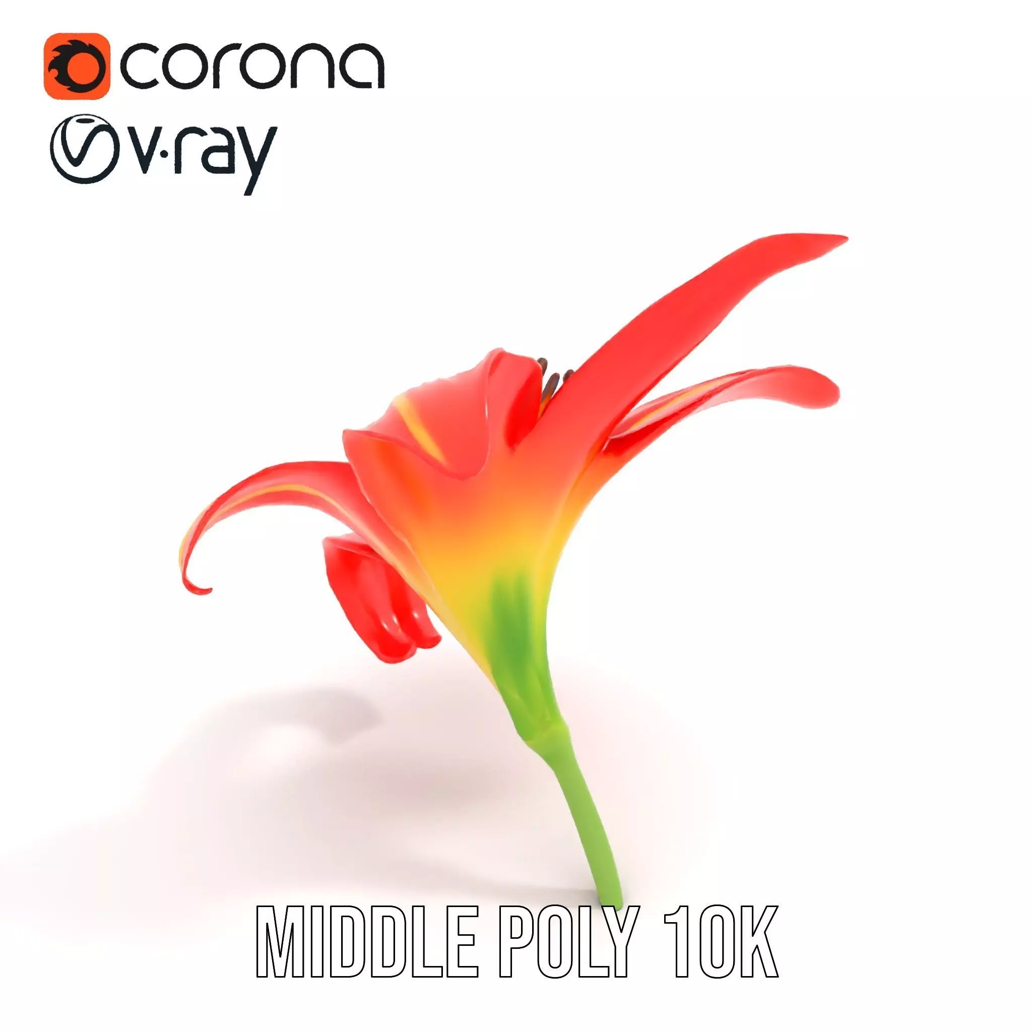 Radiant Red Lily model pack Low-poly 3D model_16