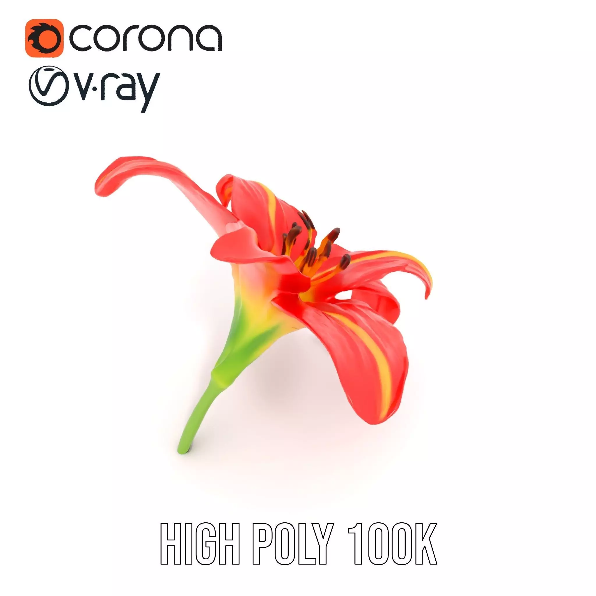 Radiant Red Lily model pack Low-poly 3D model_27