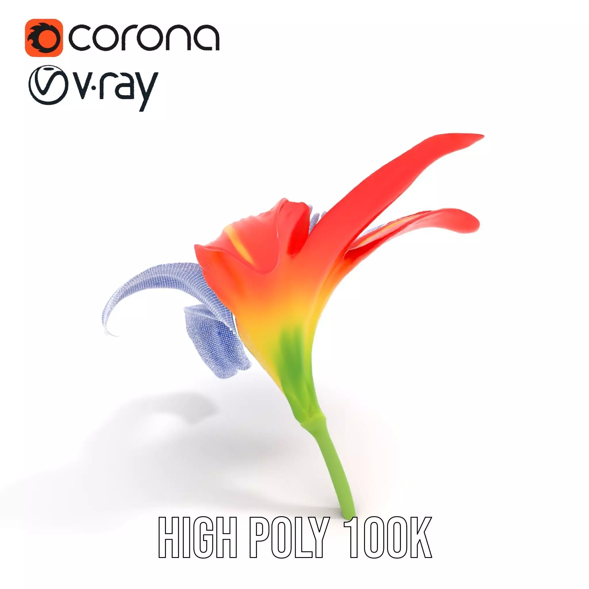 Radiant Red Lily model pack Low-poly 3D model_21