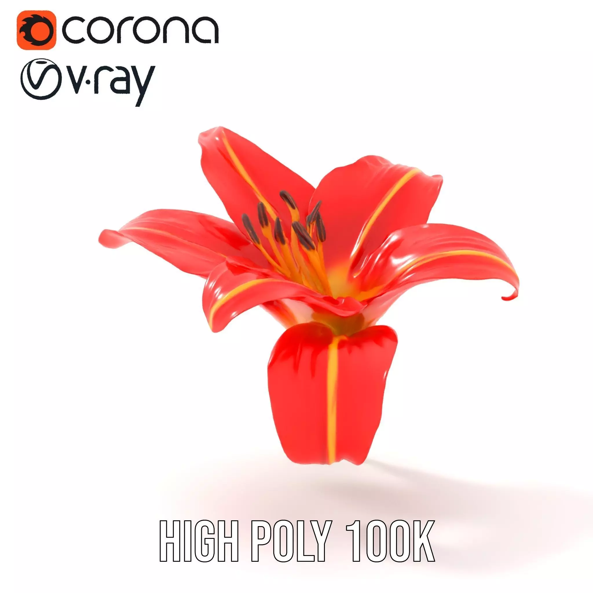 Radiant Red Lily model pack Low-poly 3D model_33