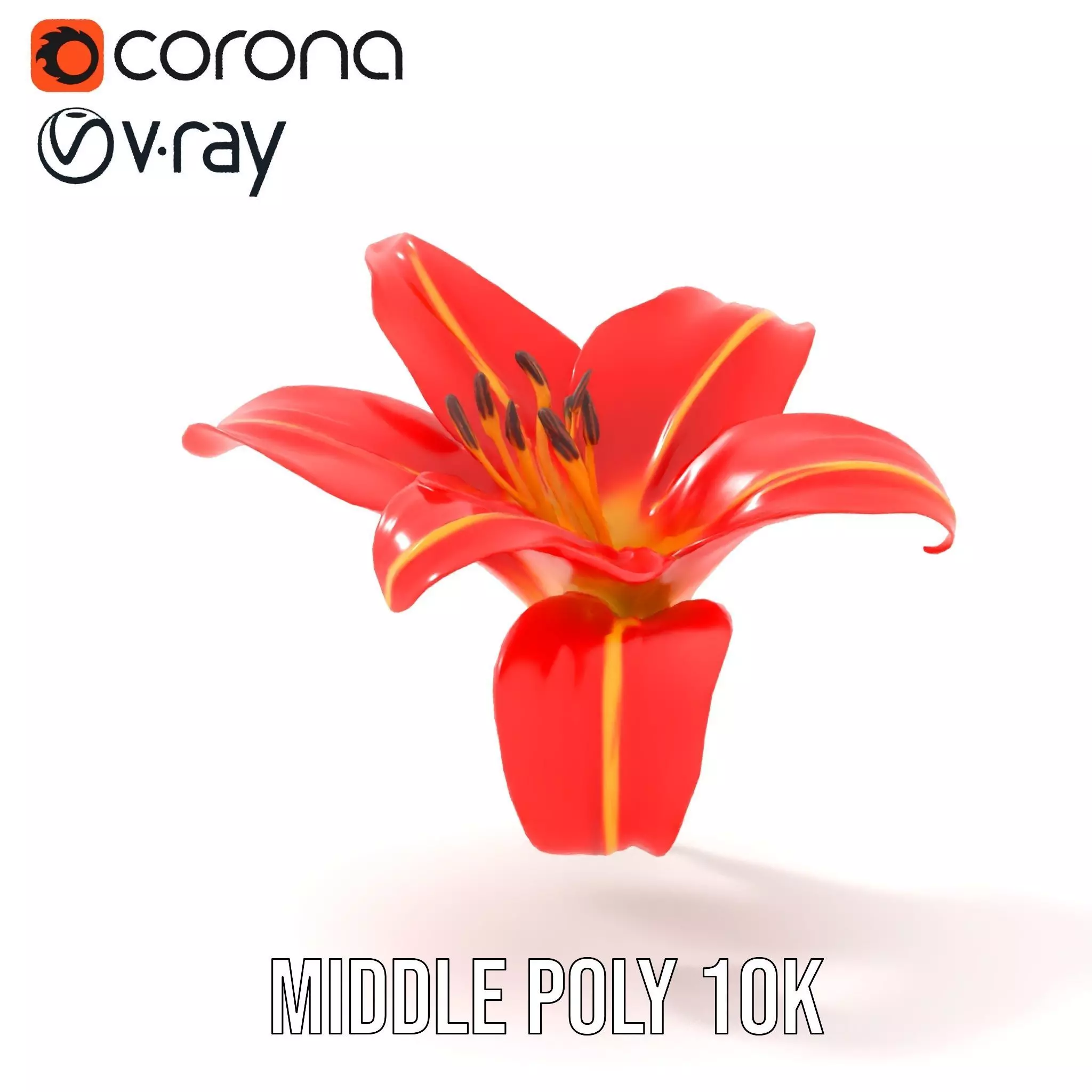 Radiant Red Lily model pack Low-poly 3D model_6