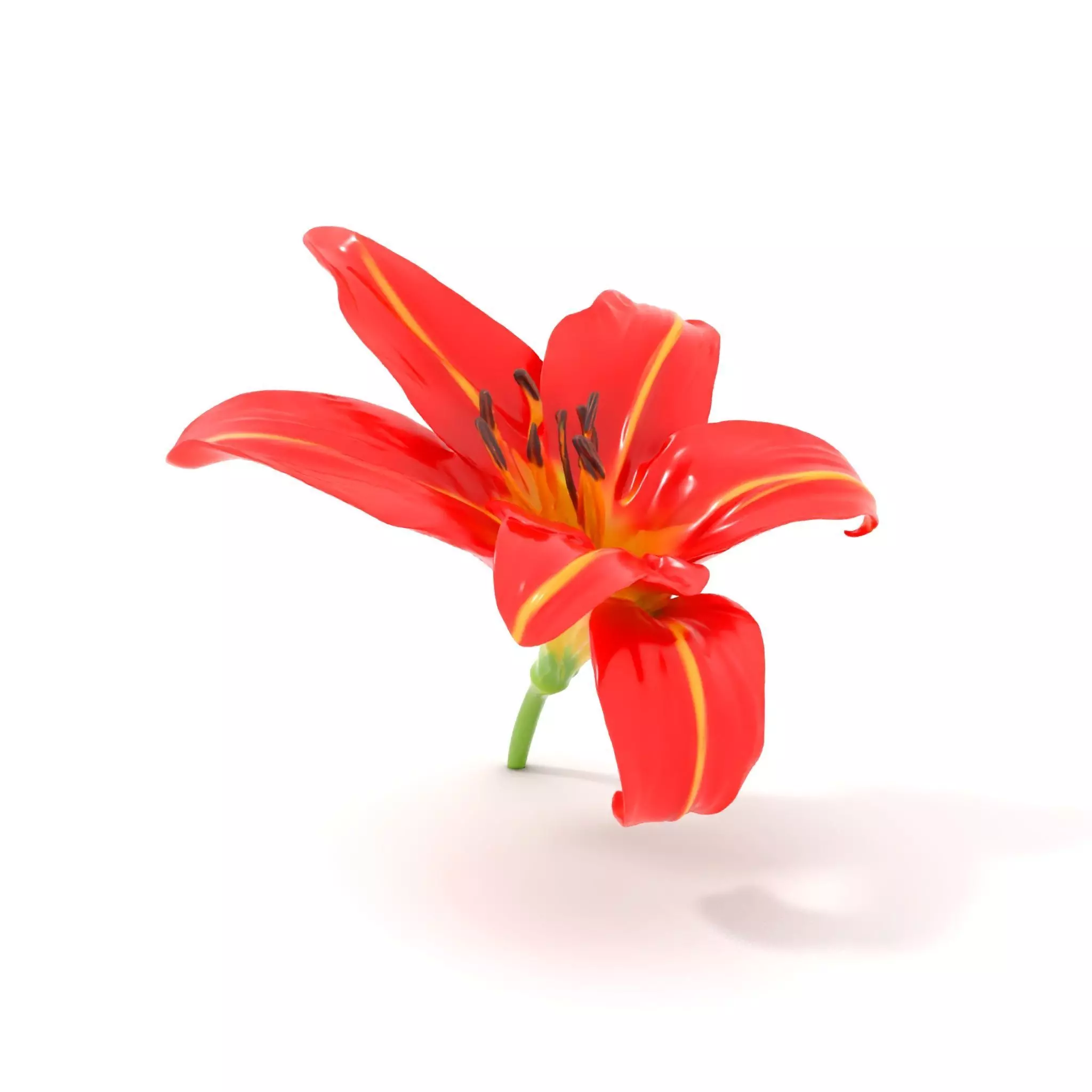 Radiant Red Lily model pack Low-poly 3D model_0