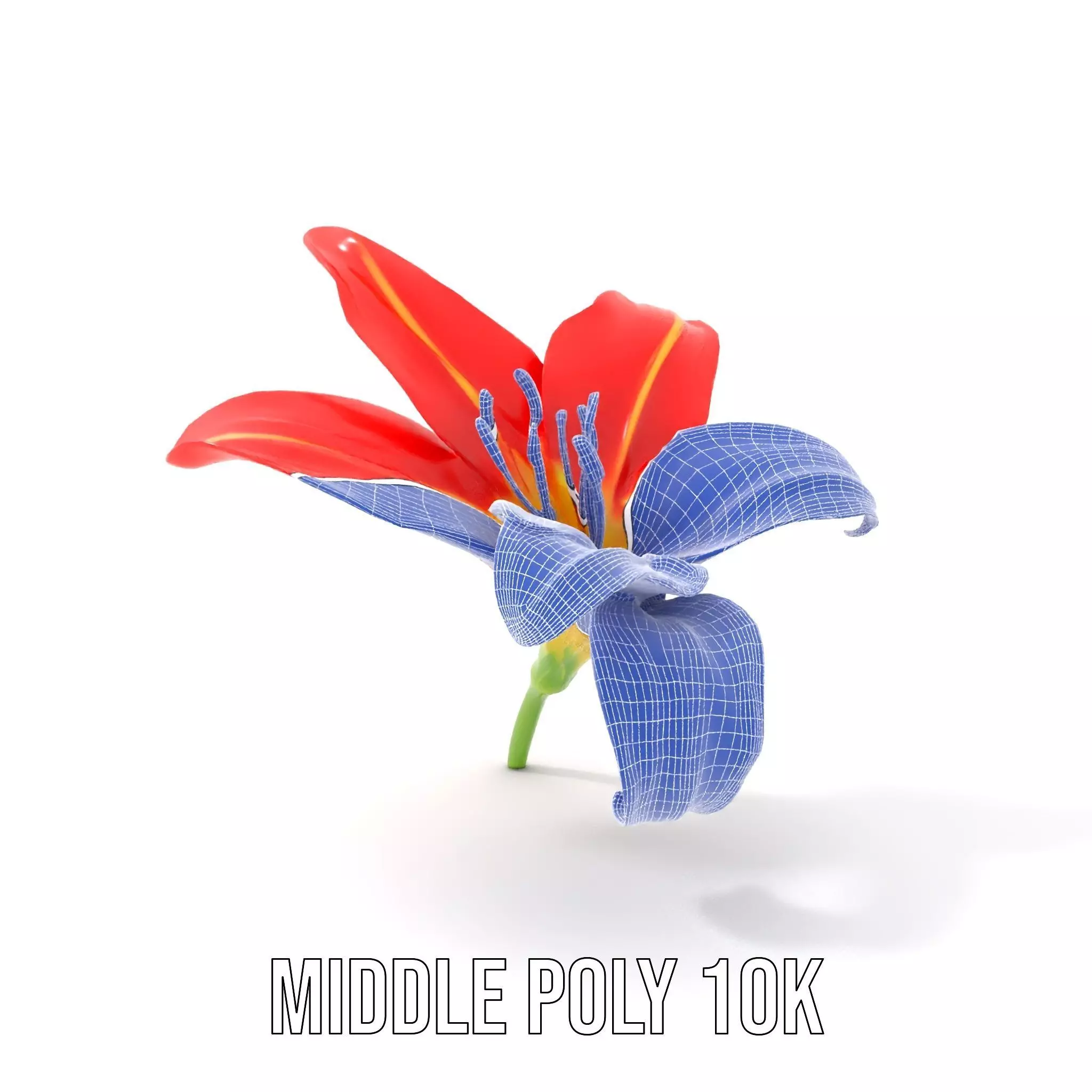 Radiant Red Lily model pack Low-poly 3D model_28
