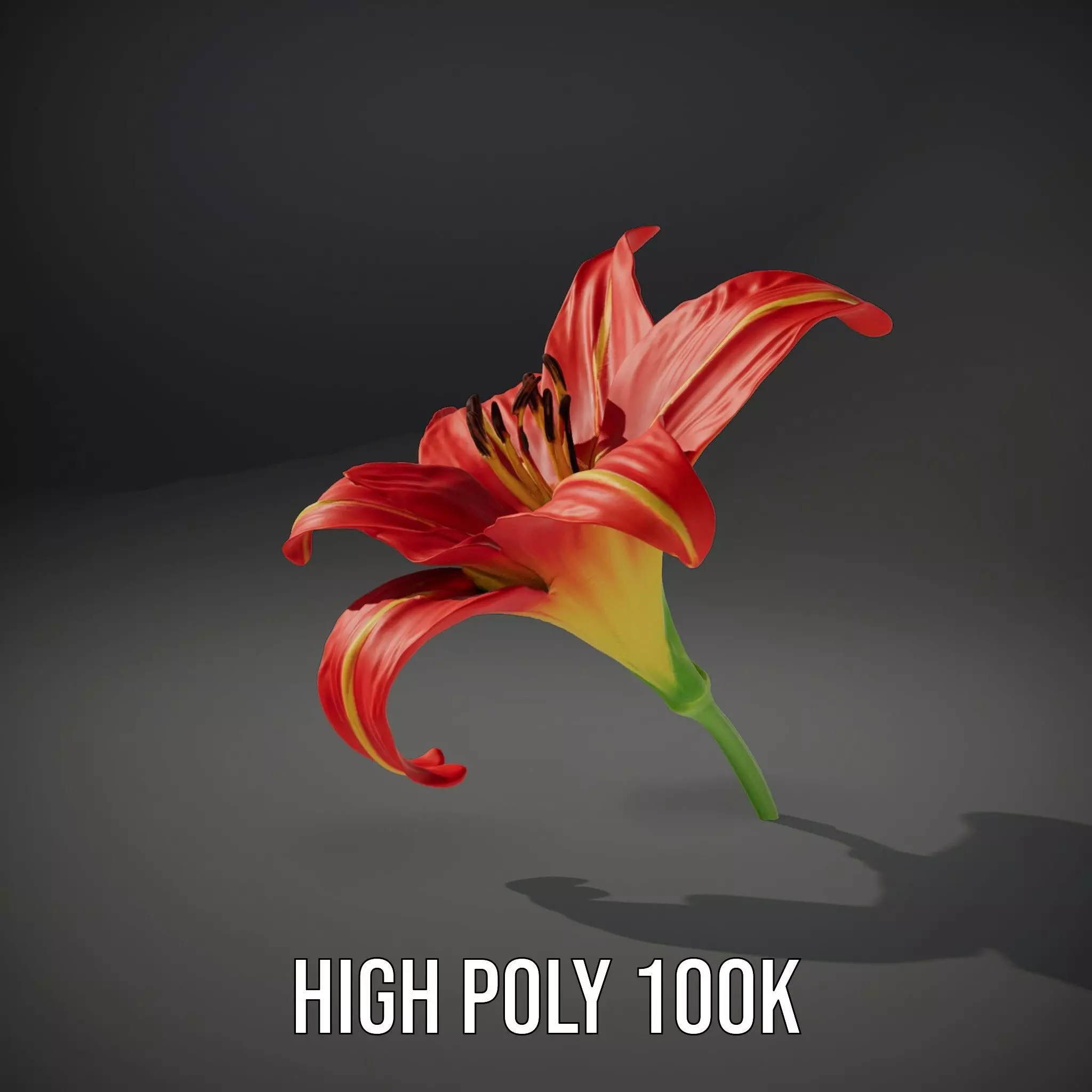 Radiant Red Lily model pack Low-poly 3D model_11