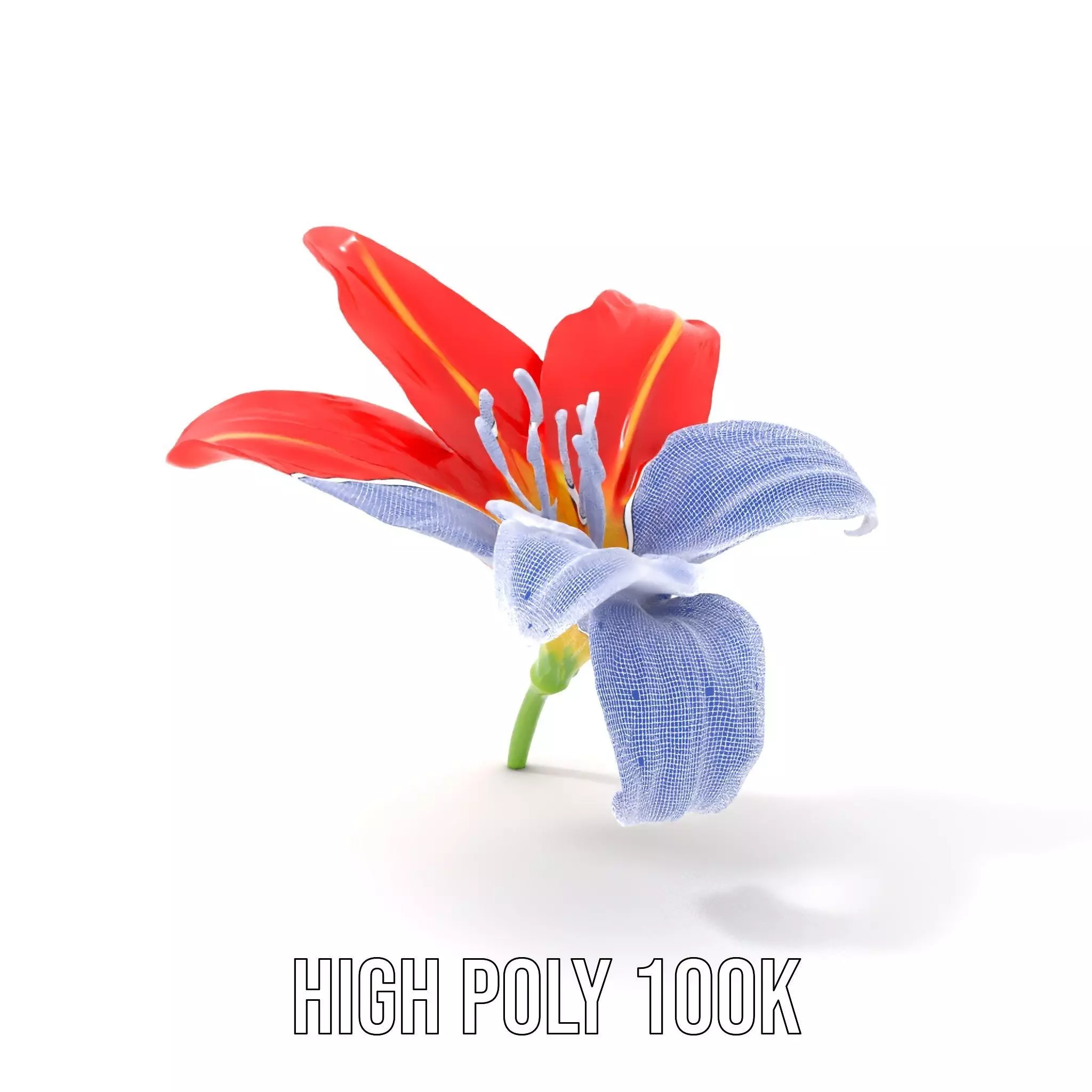 Radiant Red Lily model pack Low-poly 3D model_5