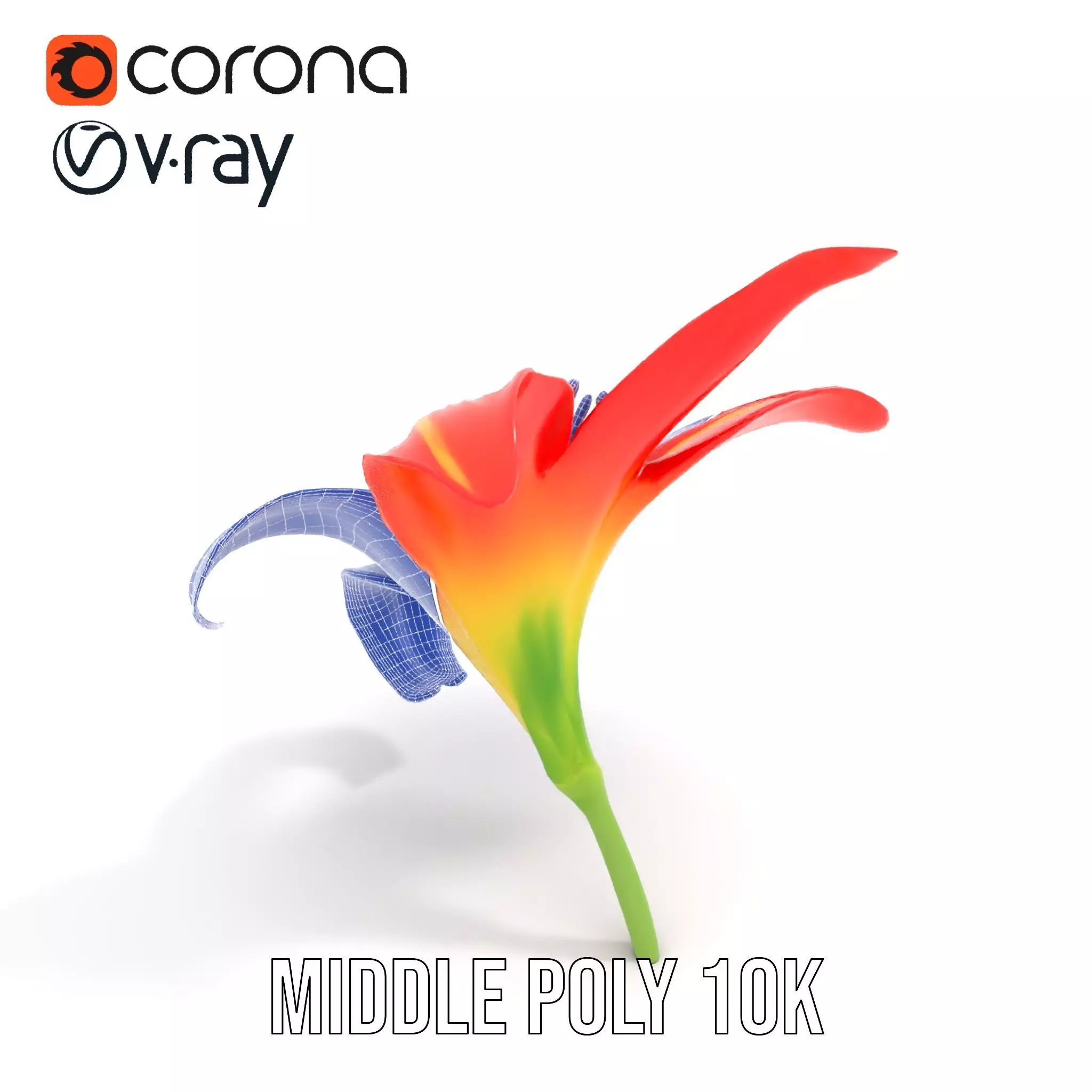 Radiant Red Lily model pack Low-poly 3D model_31