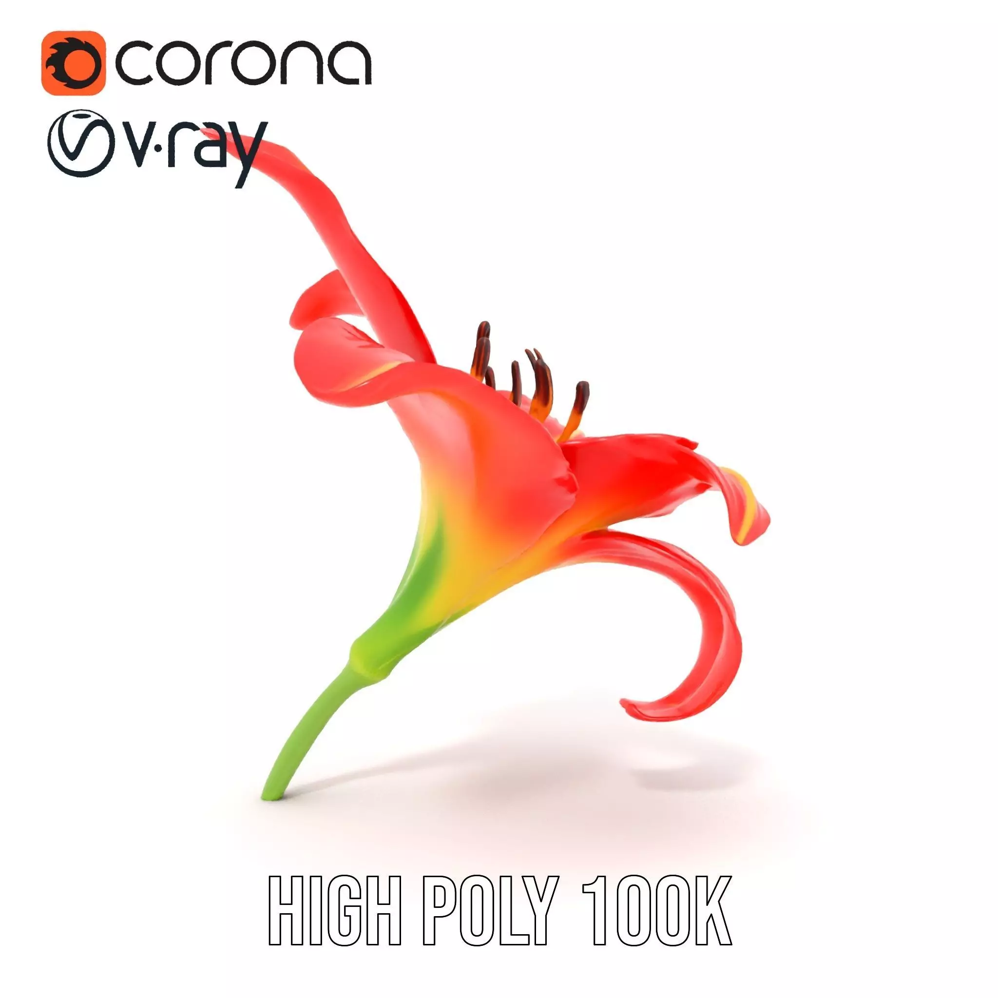 Radiant Red Lily model pack Low-poly 3D model_18