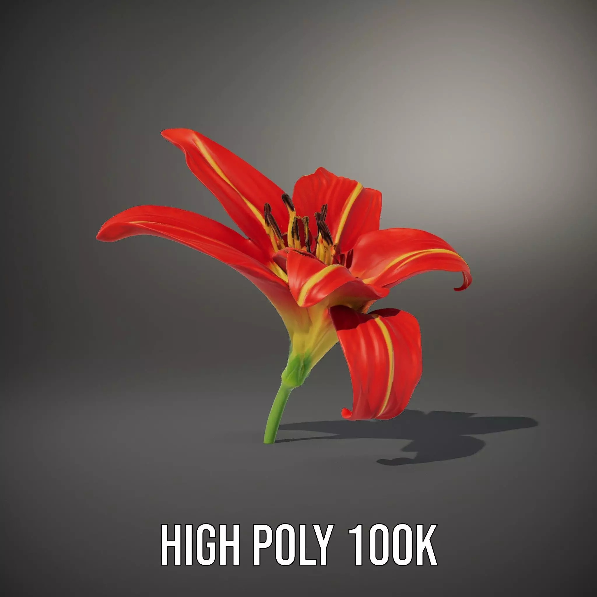 Radiant Red Lily model pack Low-poly 3D model_9