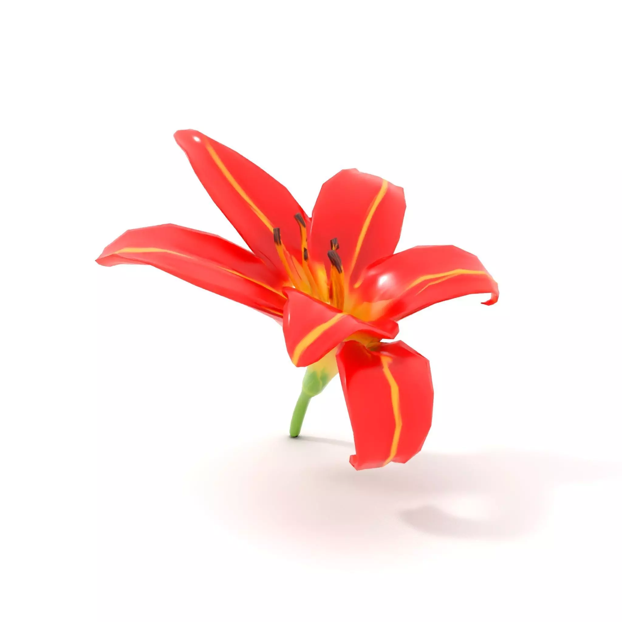 Radiant Red Lily model pack Low-poly 3D model_20