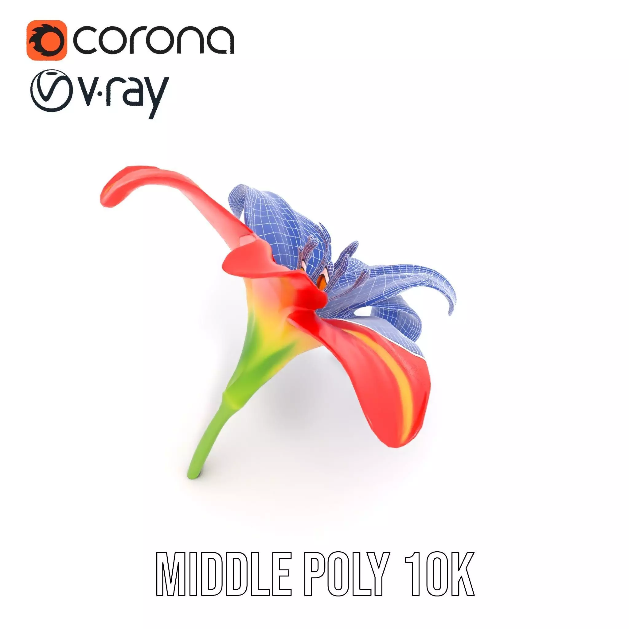 Radiant Red Lily model pack Low-poly 3D model_25