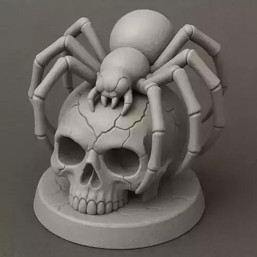 Spider on Skull