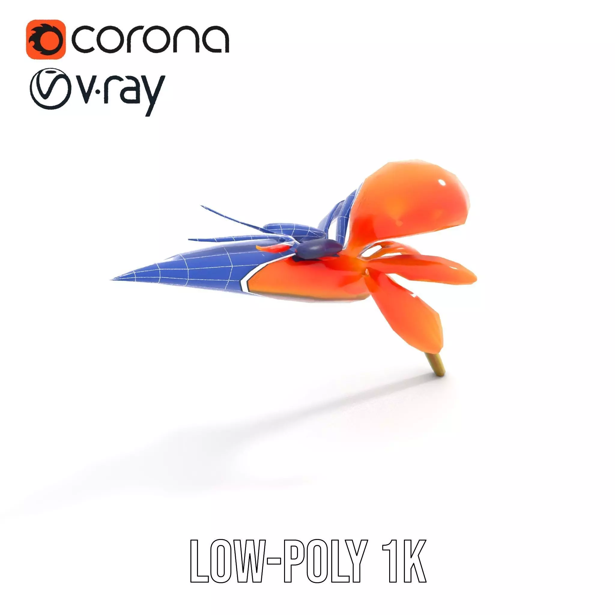 Vibrant Bird of Paradise model pack Low-poly 3D model_8
