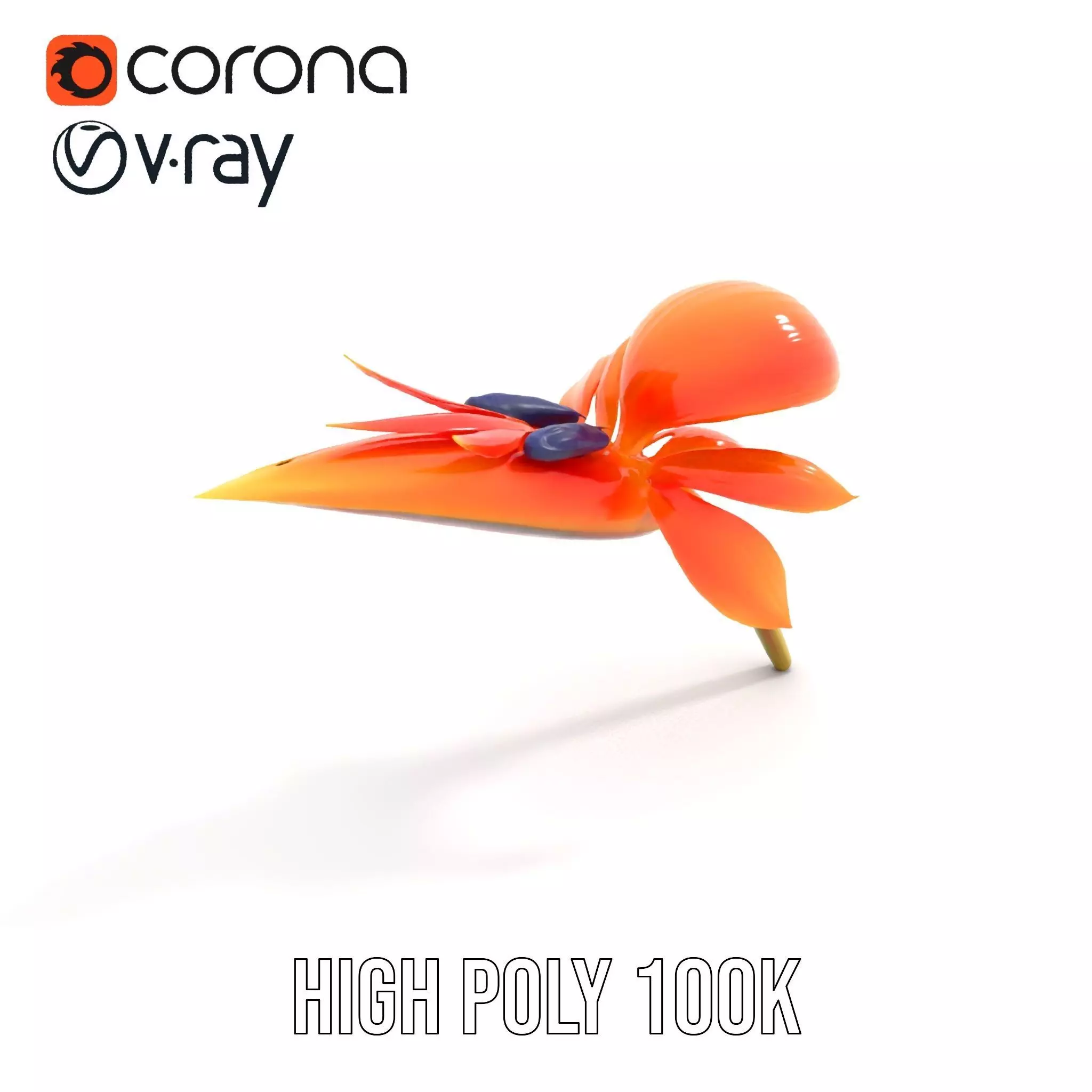 Vibrant Bird of Paradise model pack Low-poly 3D model_32