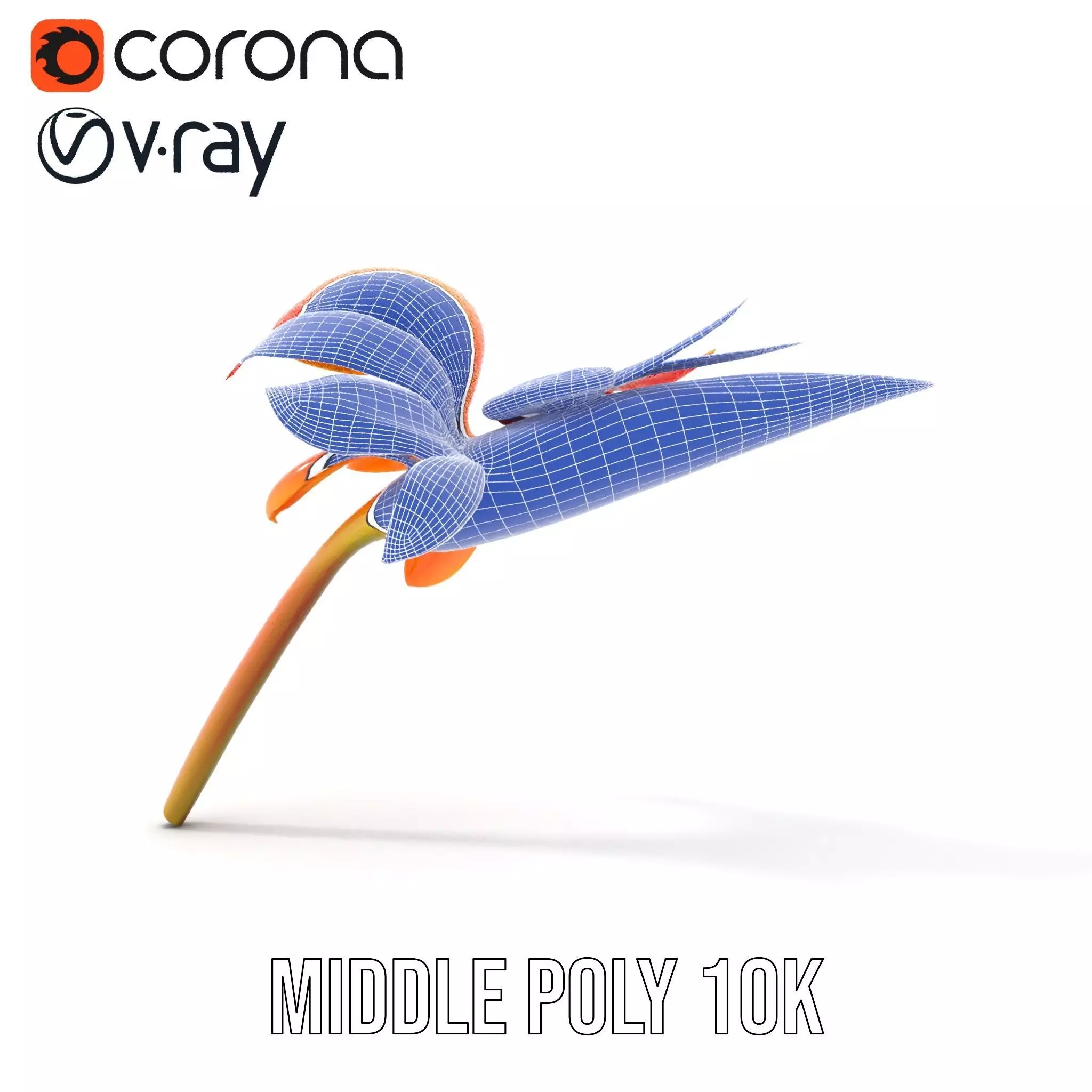 Vibrant Bird of Paradise model pack Low-poly 3D model_27