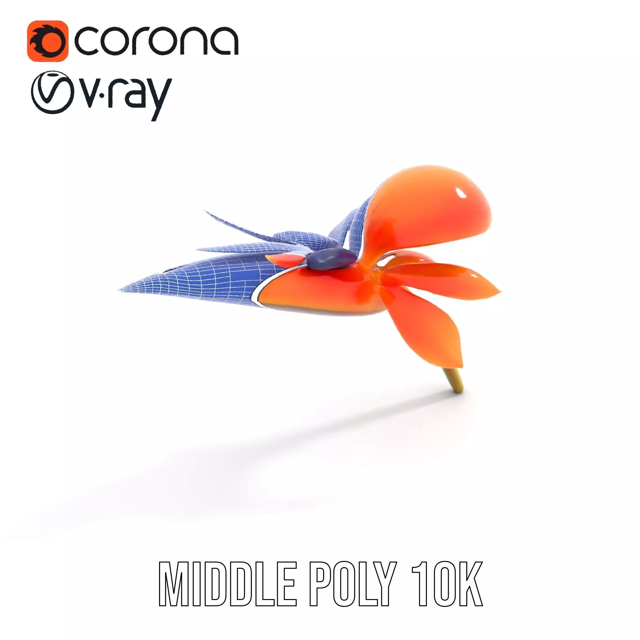 Vibrant Bird of Paradise model pack Low-poly 3D model_30