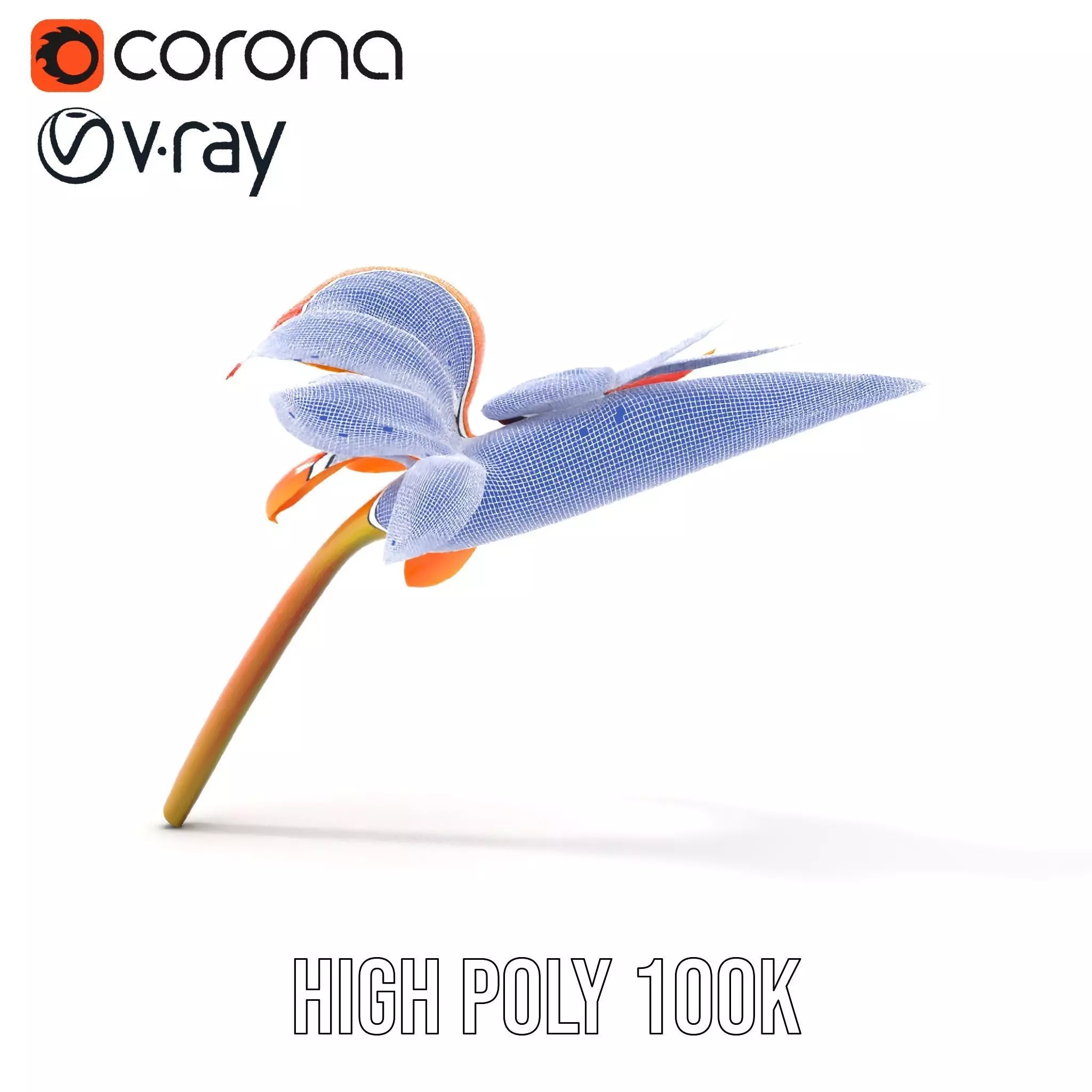 Vibrant Bird of Paradise model pack Low-poly 3D model_34