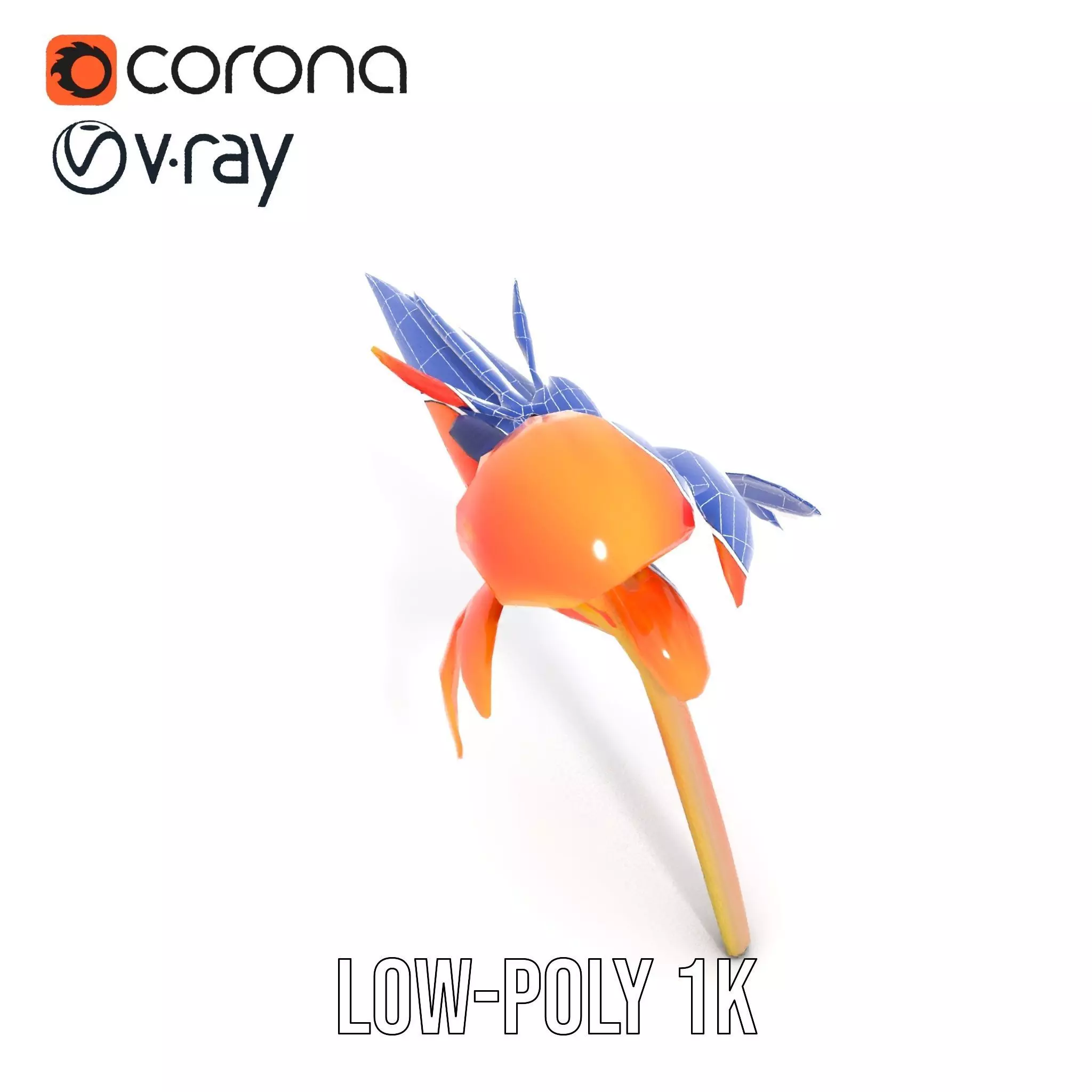 Vibrant Bird of Paradise model pack Low-poly 3D model_20
