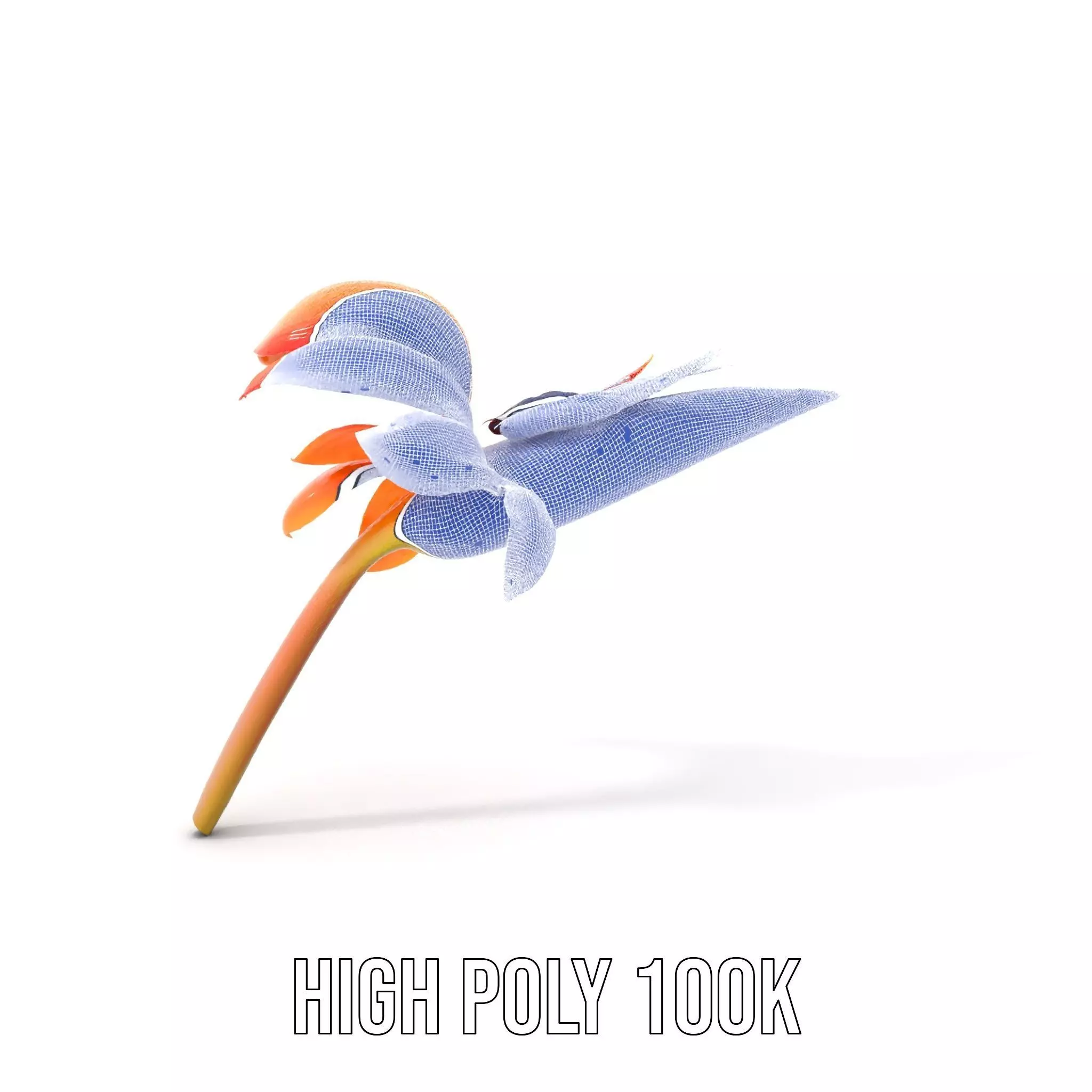 Vibrant Bird of Paradise model pack Low-poly 3D model_5