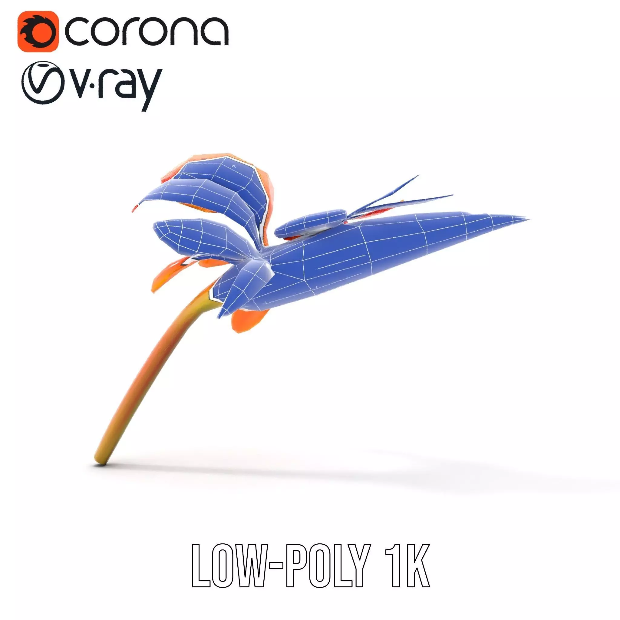 Vibrant Bird of Paradise model pack Low-poly 3D model_31