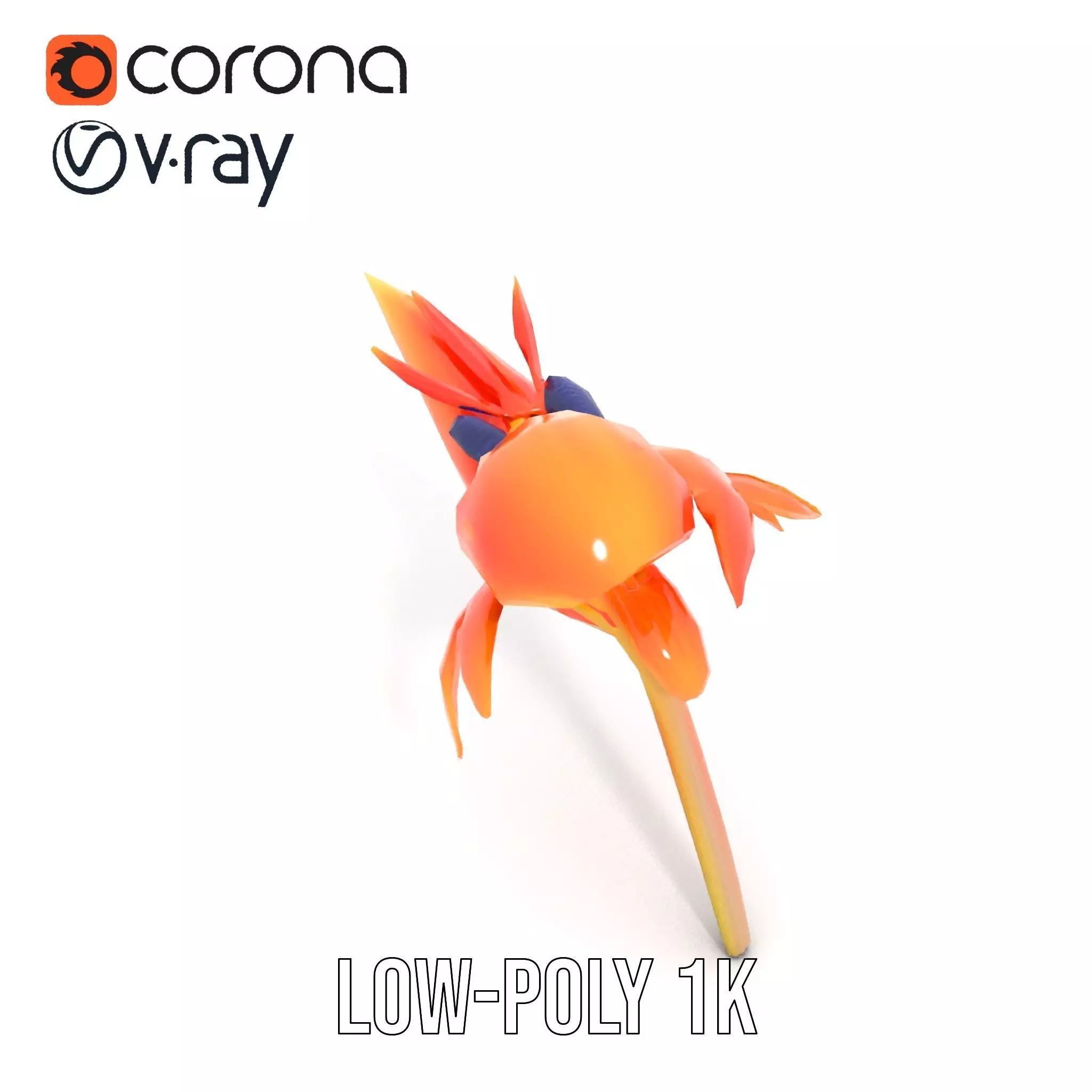 Vibrant Bird of Paradise model pack Low-poly 3D model_13