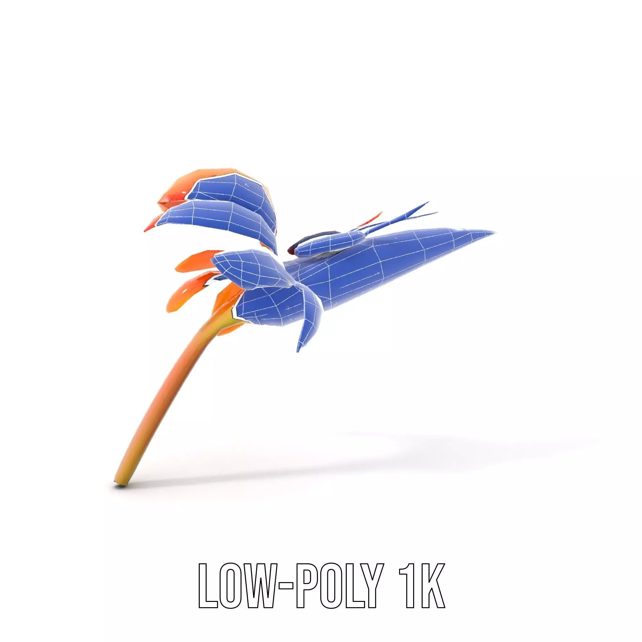 Vibrant Bird of Paradise model pack Low-poly 3D model_26