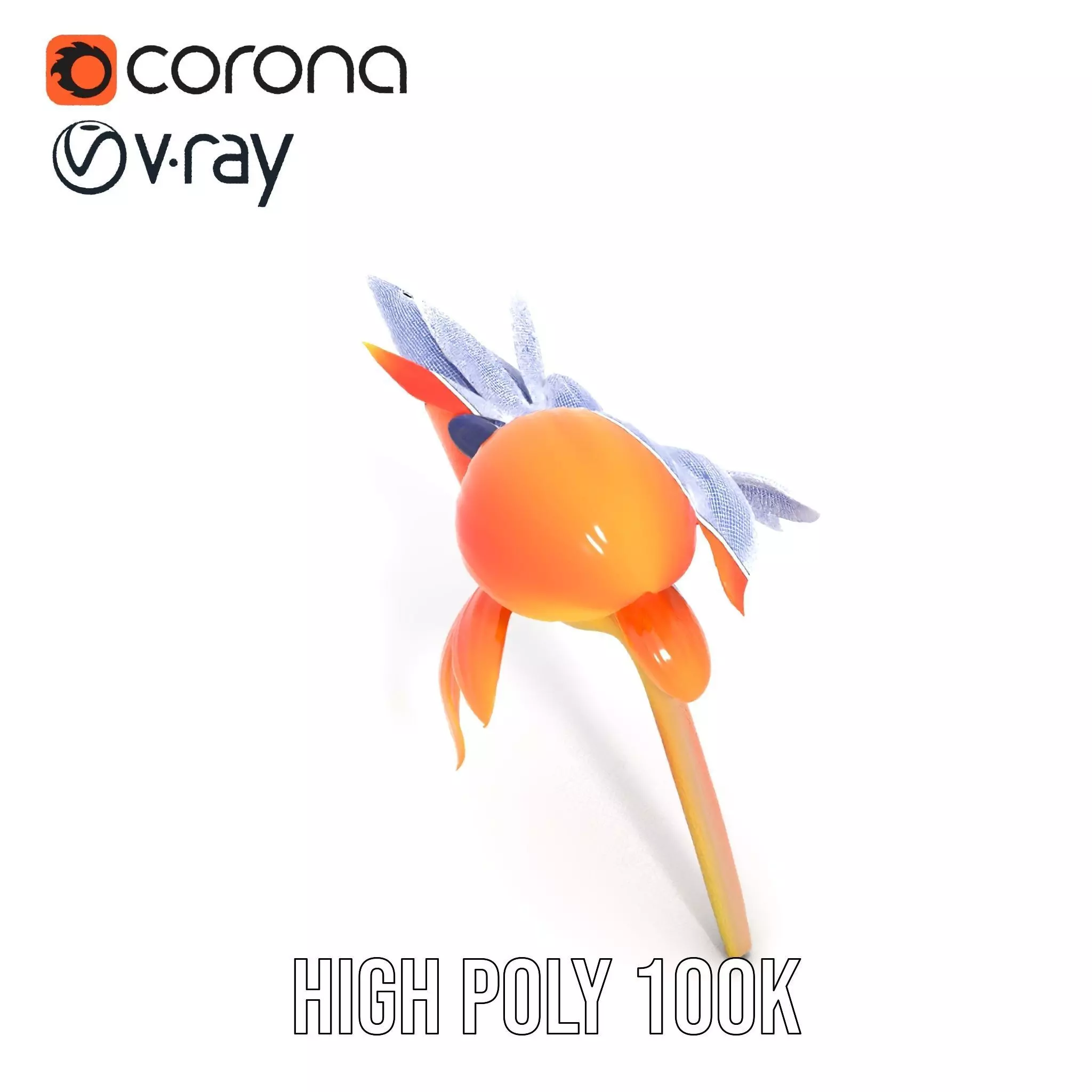 Vibrant Bird of Paradise model pack Low-poly 3D model_33