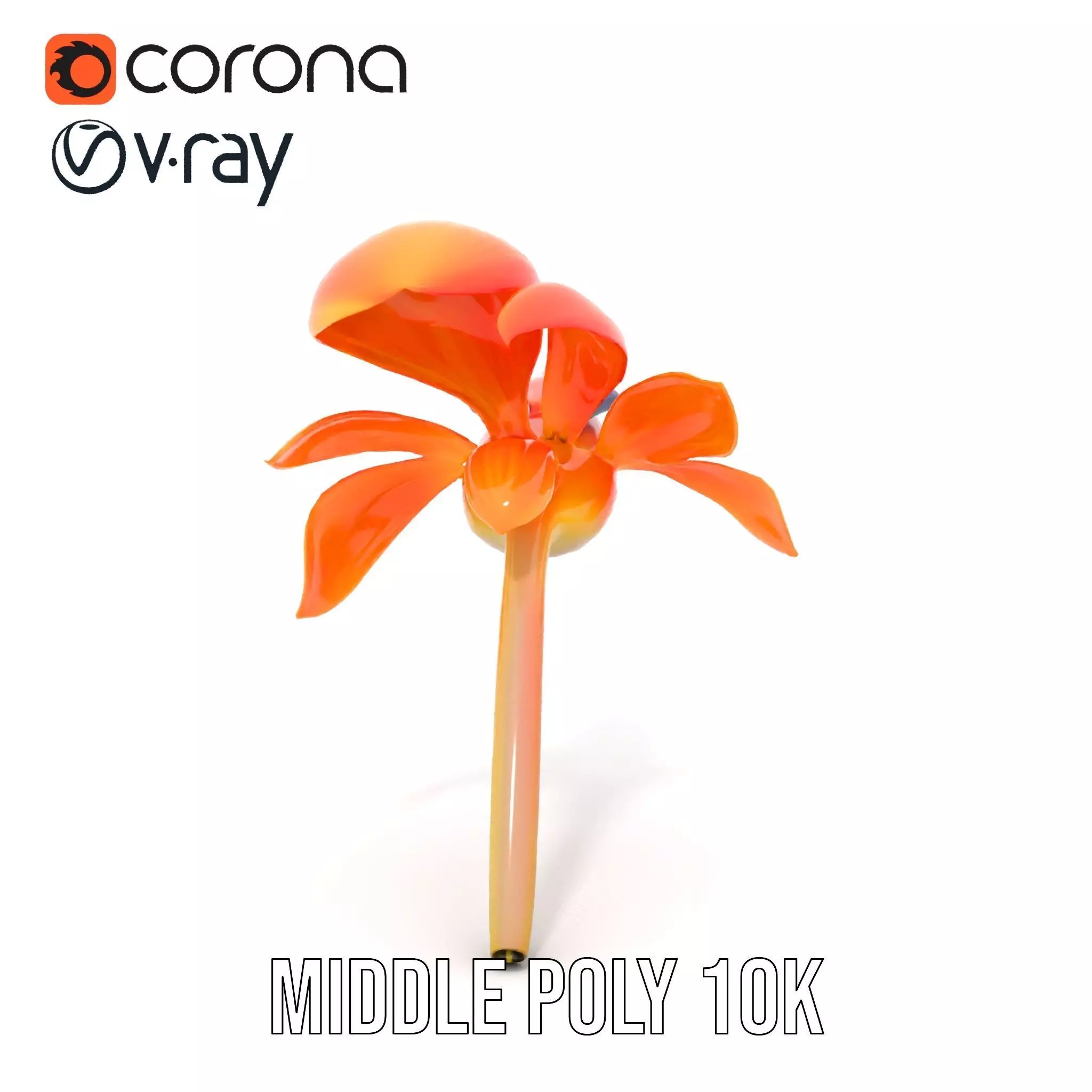 Vibrant Bird of Paradise model pack Low-poly 3D model_22
