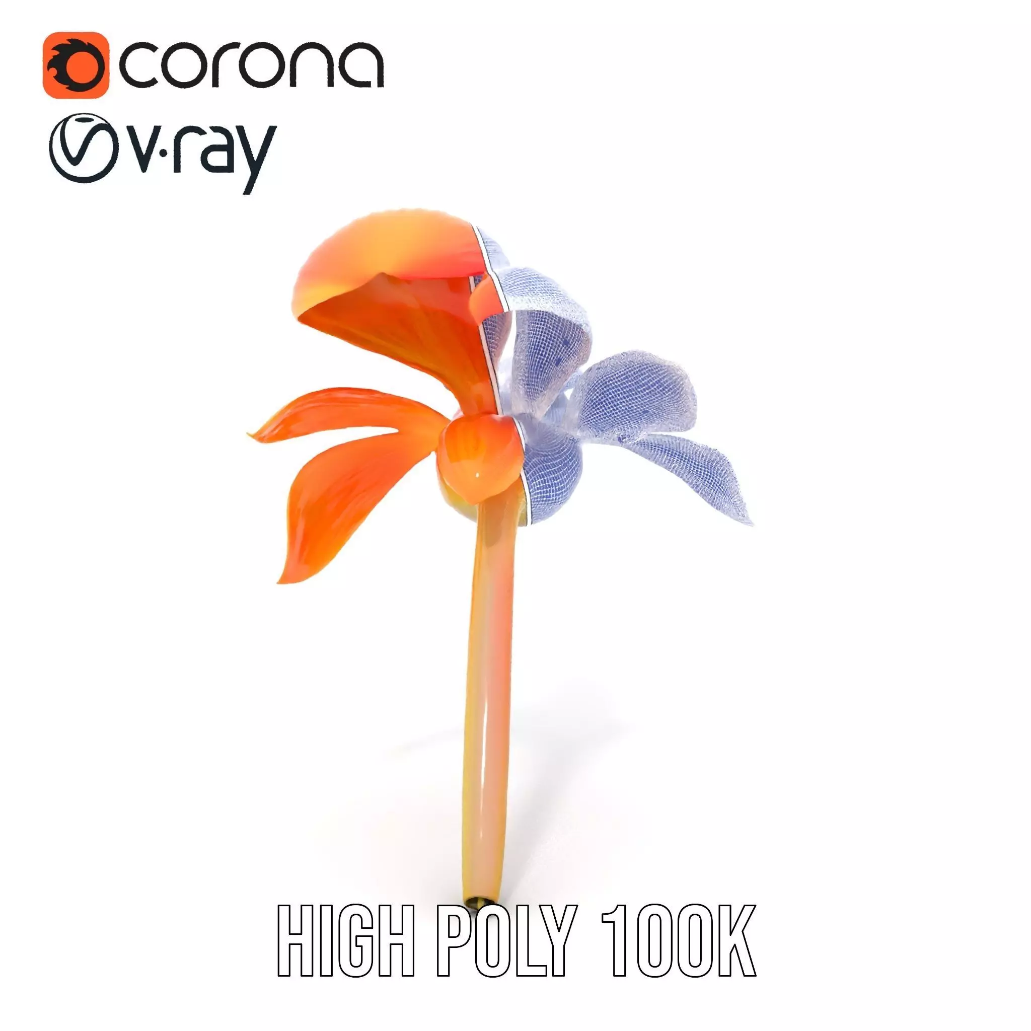 Vibrant Bird of Paradise model pack Low-poly 3D model_35
