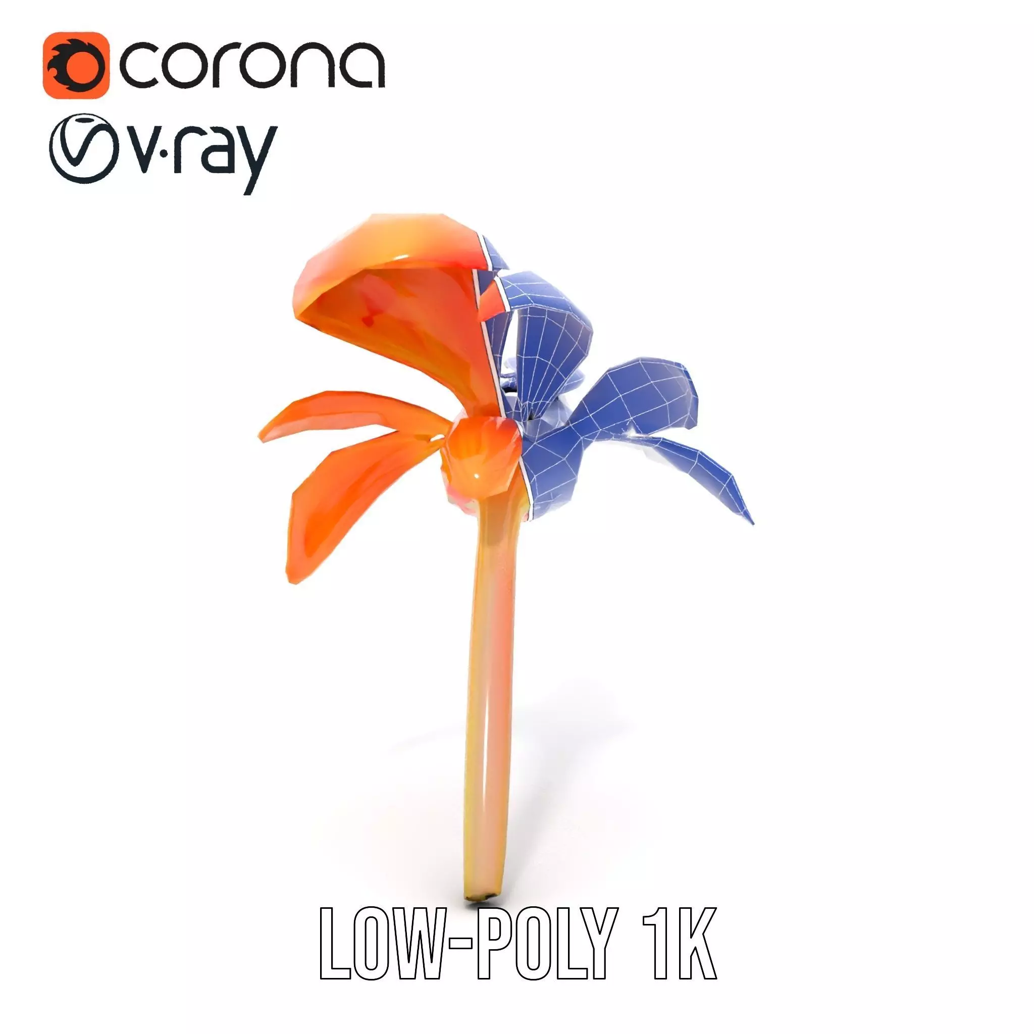 Vibrant Bird of Paradise model pack Low-poly 3D model_28