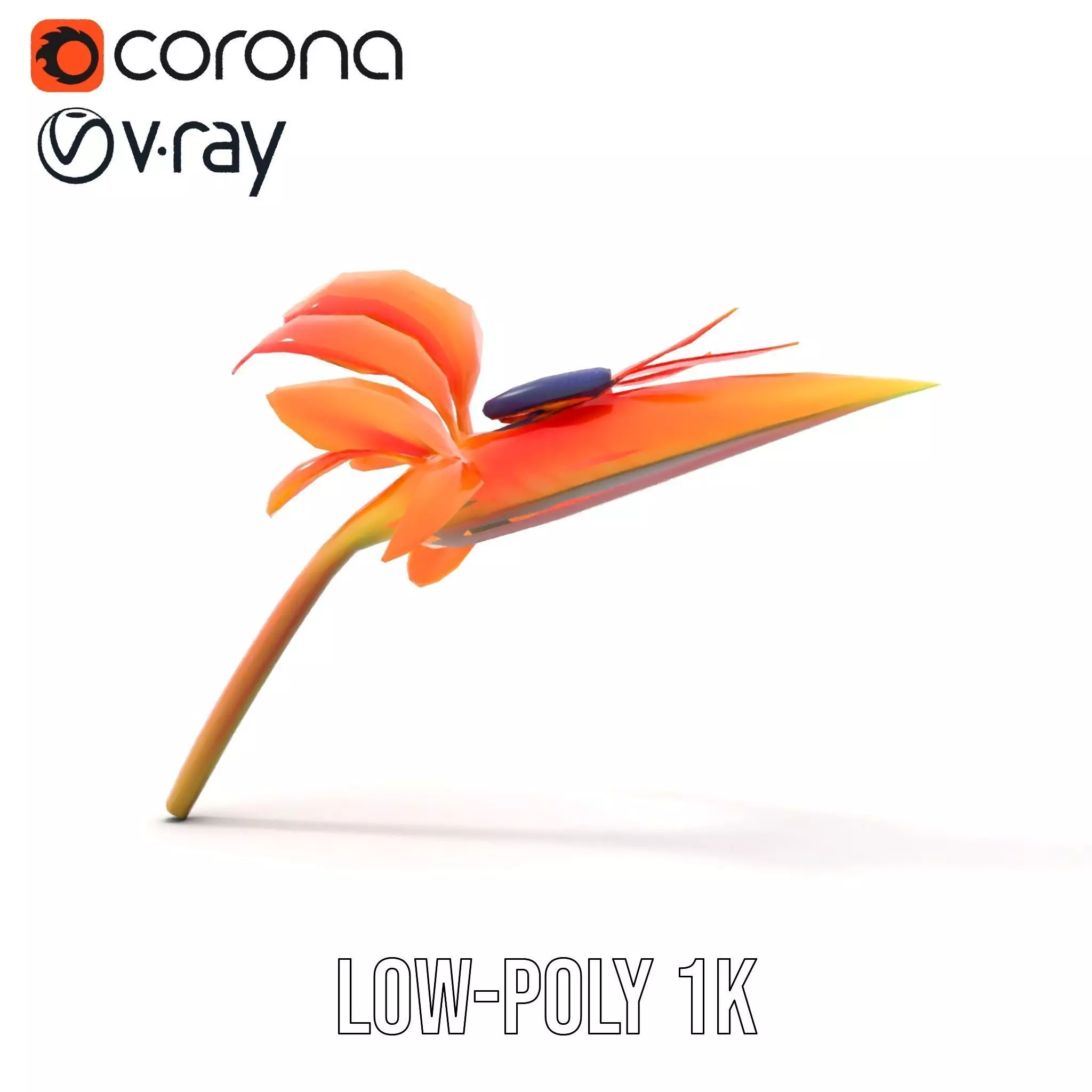 Vibrant Bird of Paradise model pack Low-poly 3D model_10