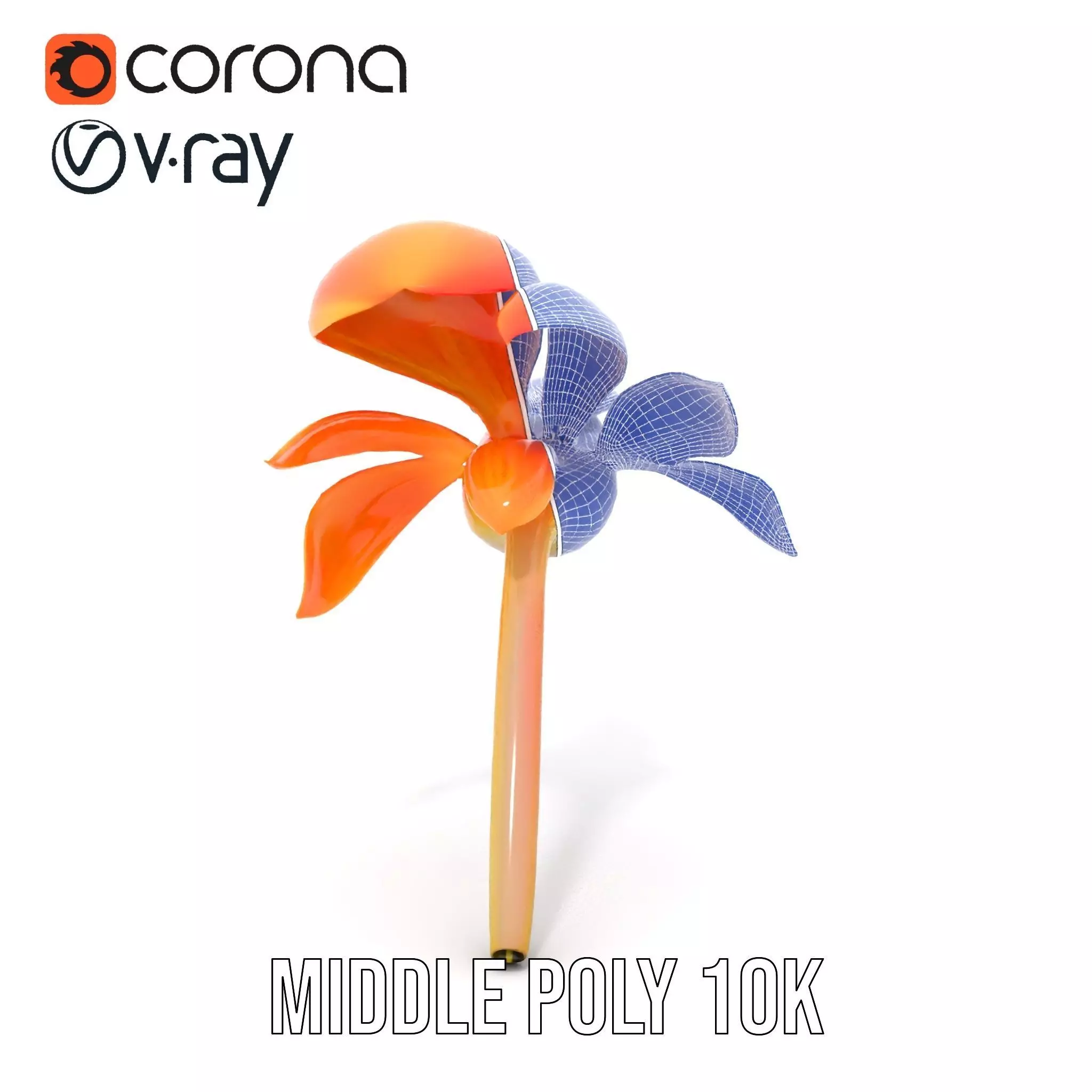 Vibrant Bird of Paradise model pack Low-poly 3D model_25
