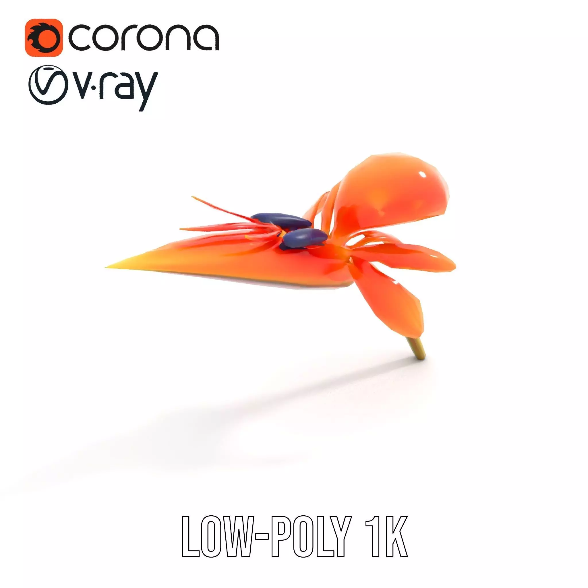 Vibrant Bird of Paradise model pack Low-poly 3D model_15