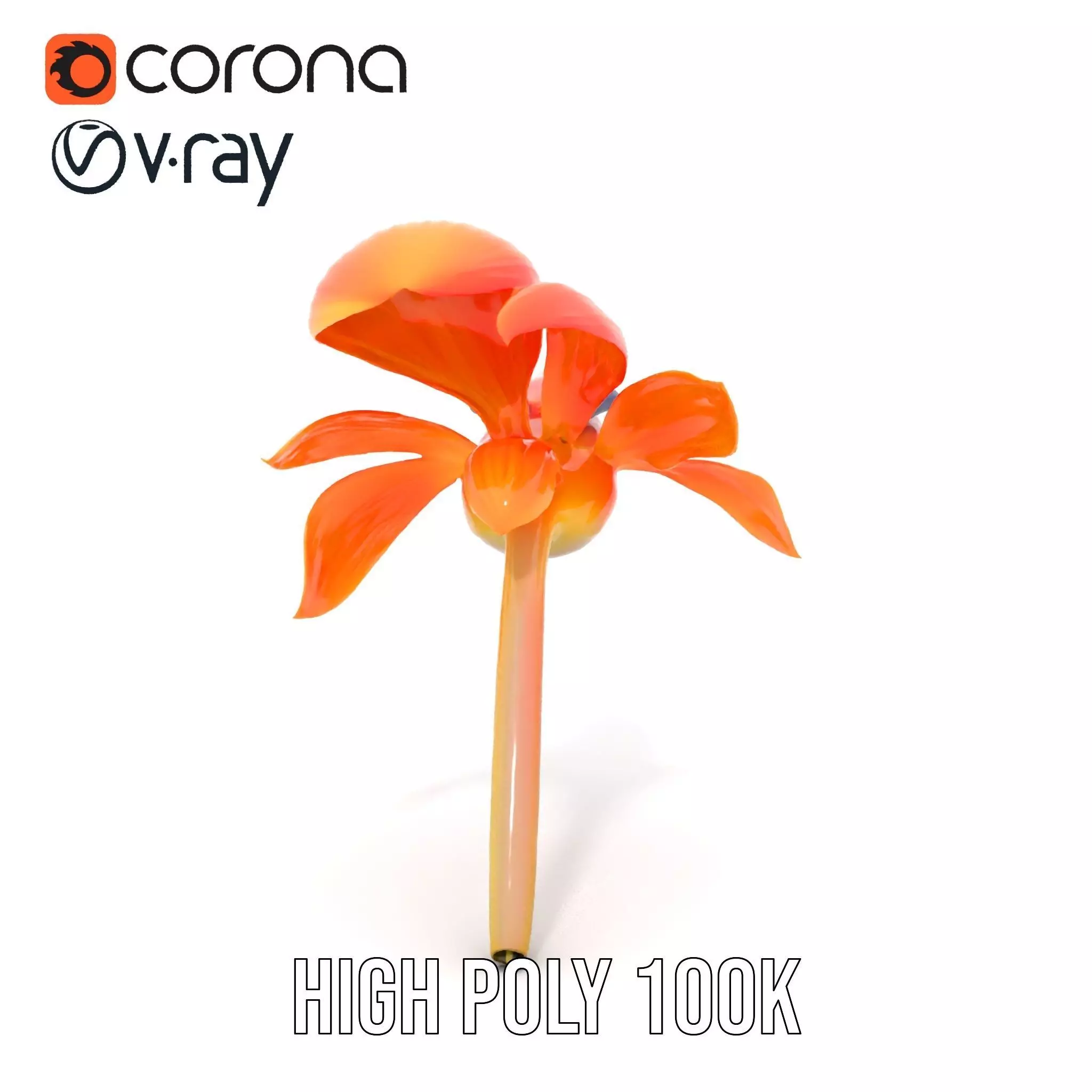 Vibrant Bird of Paradise model pack Low-poly 3D model_18