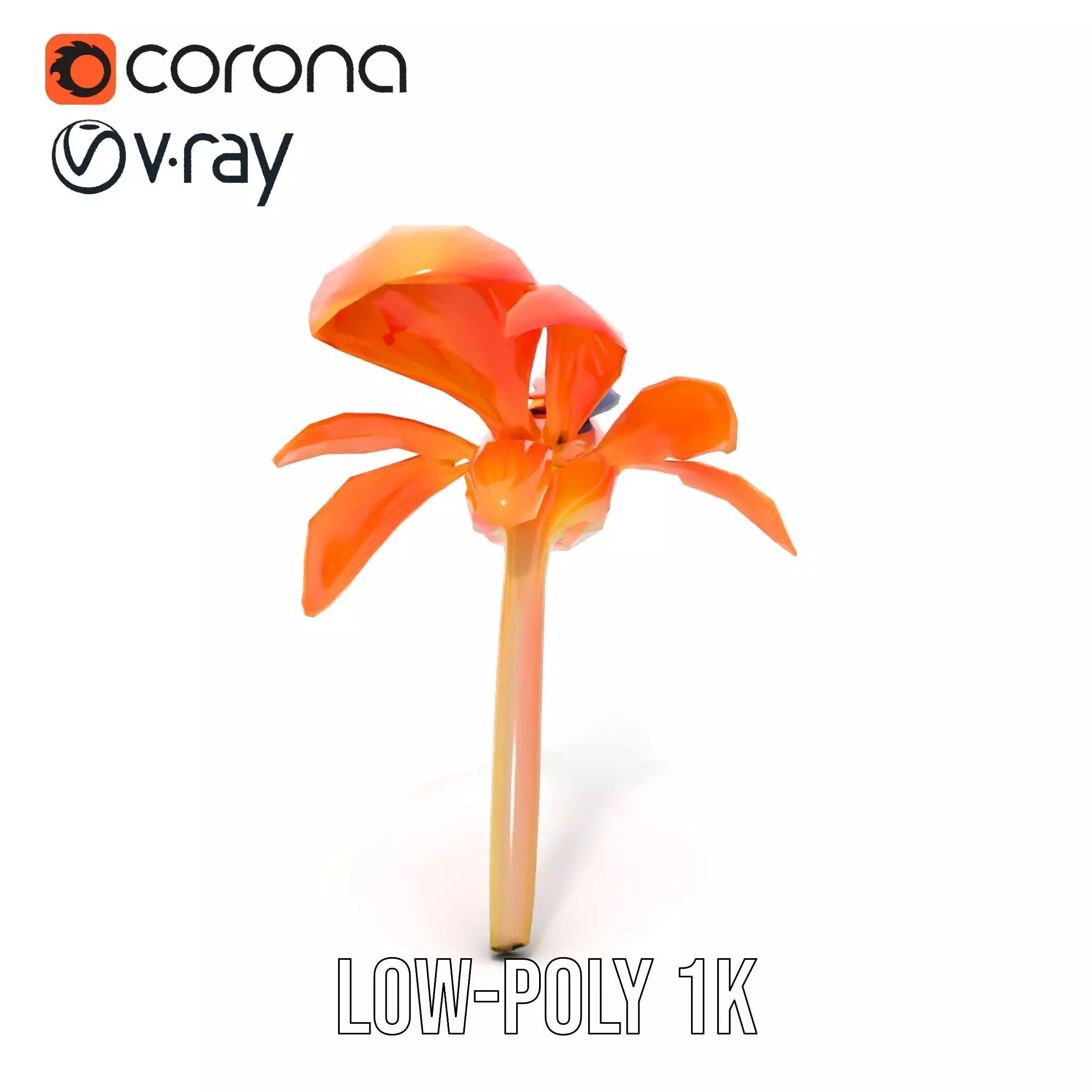 Vibrant Bird of Paradise model pack Low-poly 3D model_23