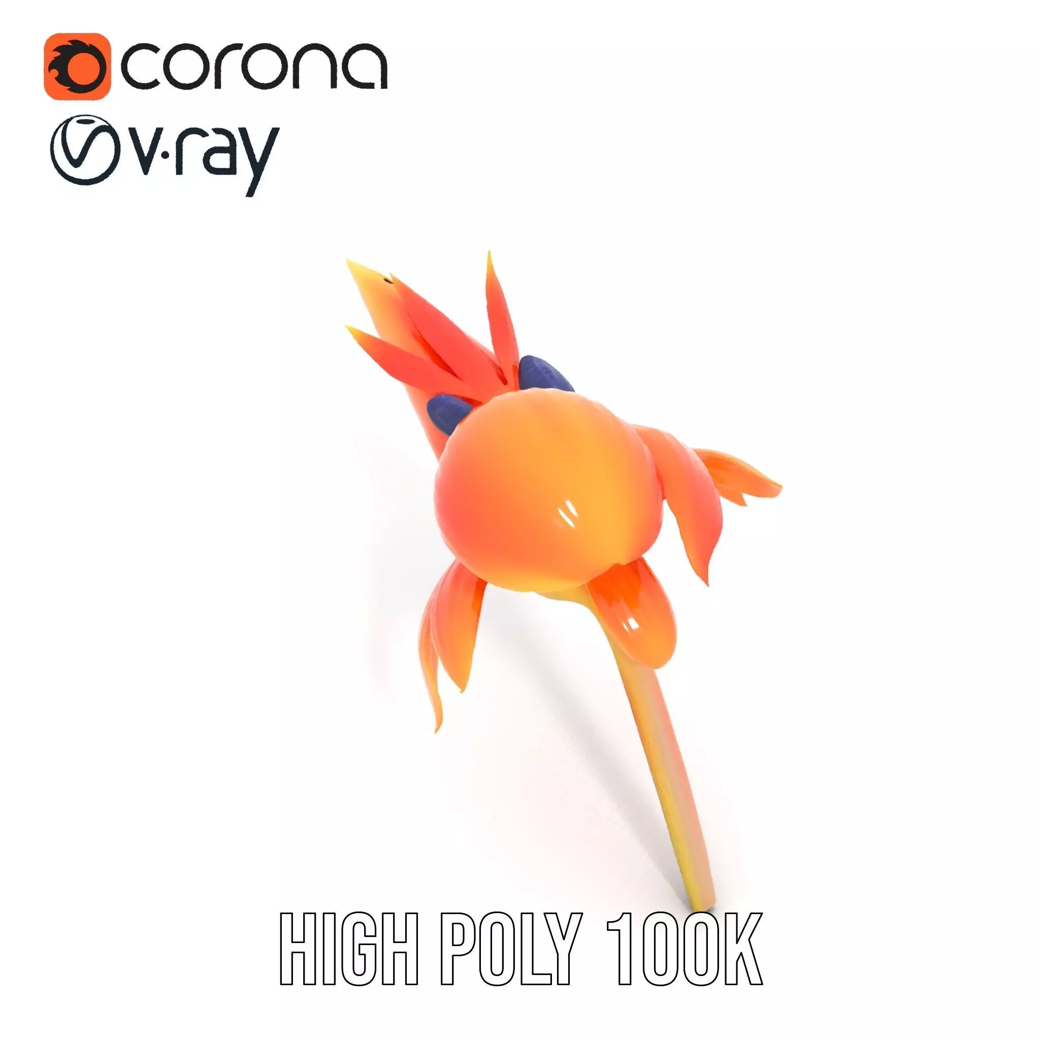 Vibrant Bird of Paradise model pack Low-poly 3D model_29