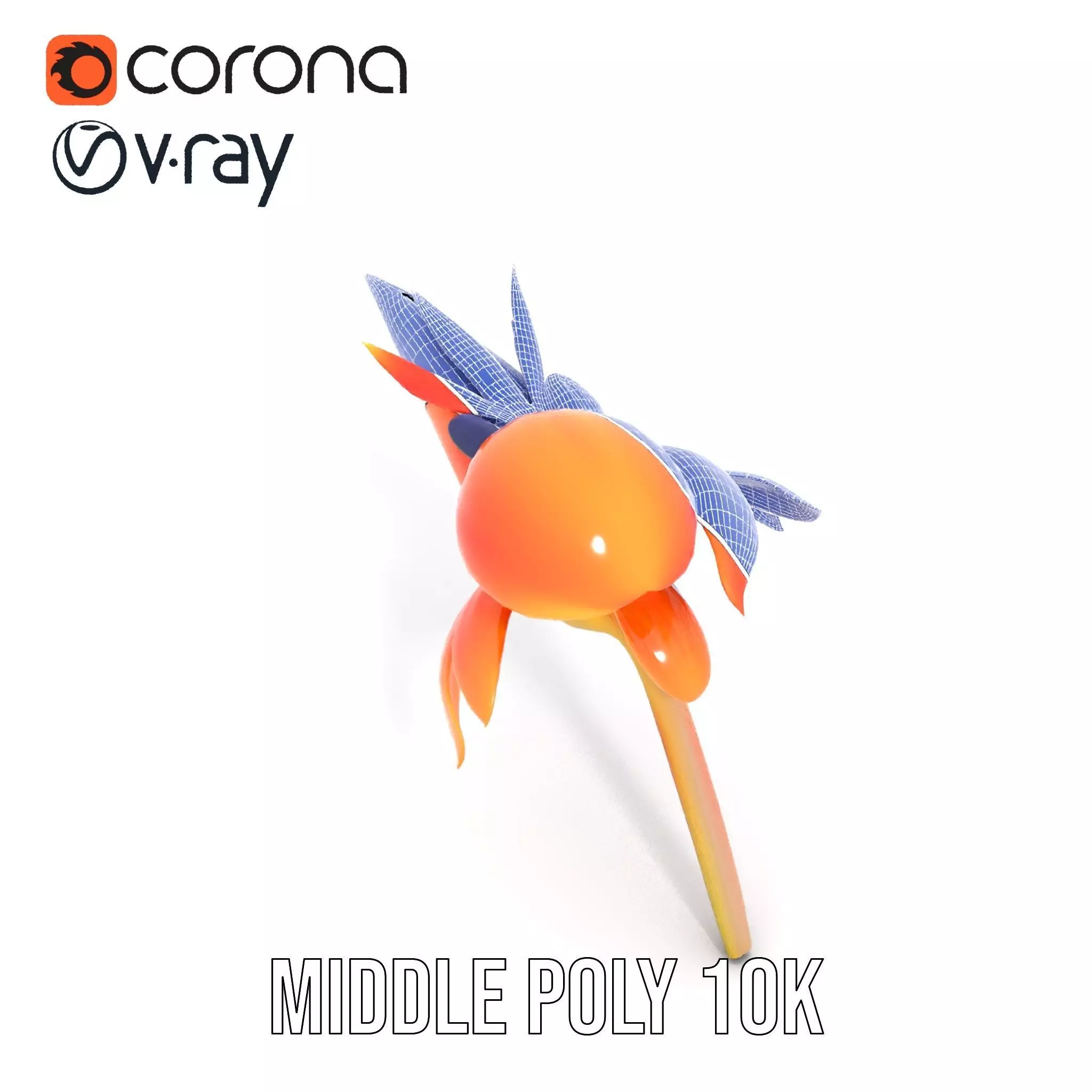 Vibrant Bird of Paradise model pack Low-poly 3D model_16