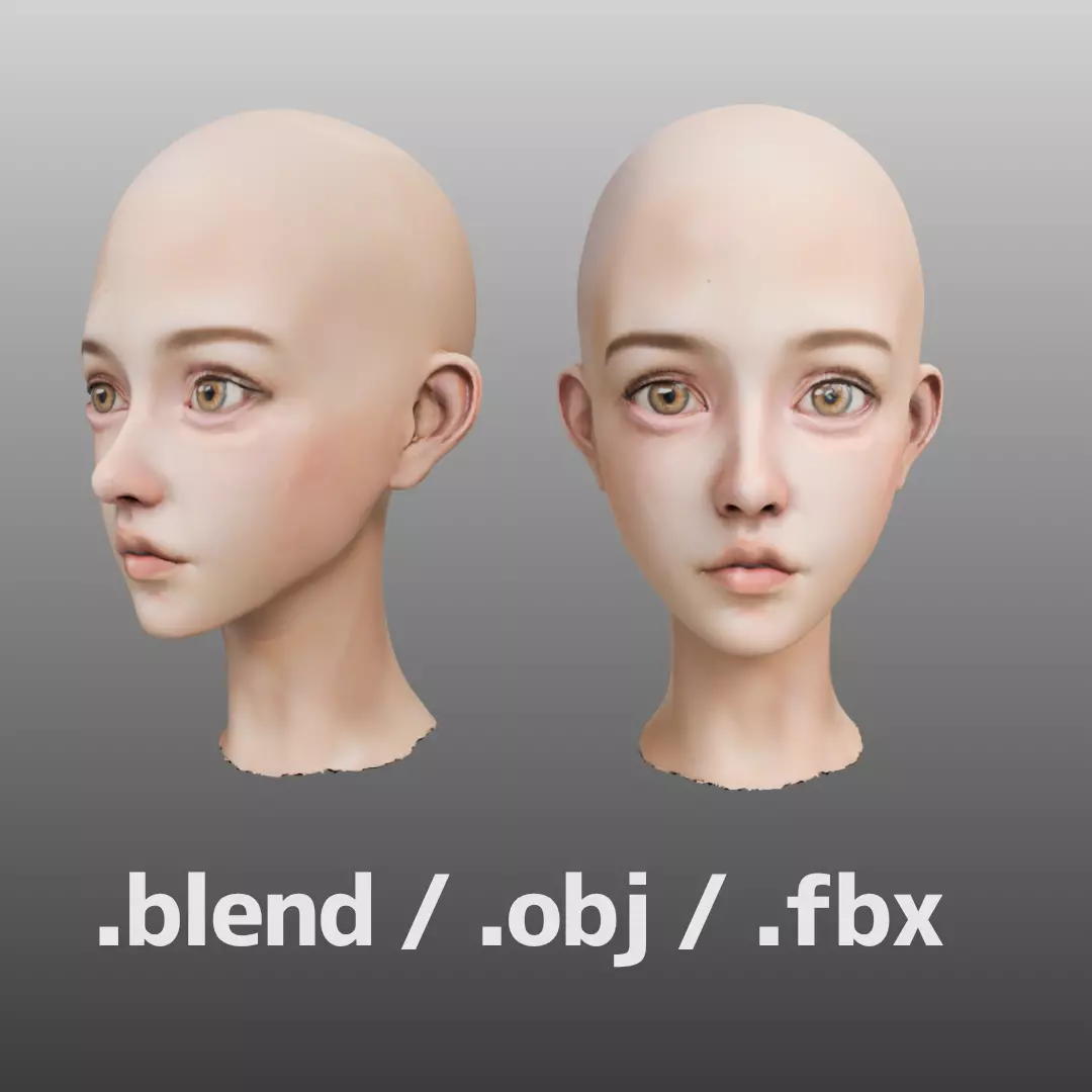 3D Female Head Model 3D model_0