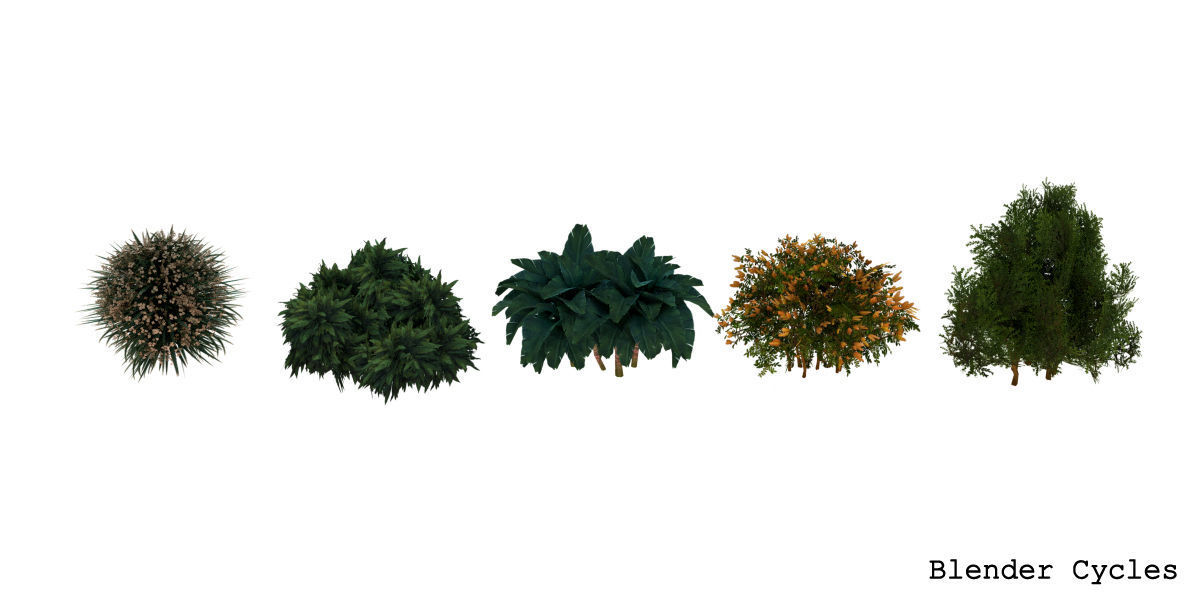 Garden Bush Low-poly 3D model_1