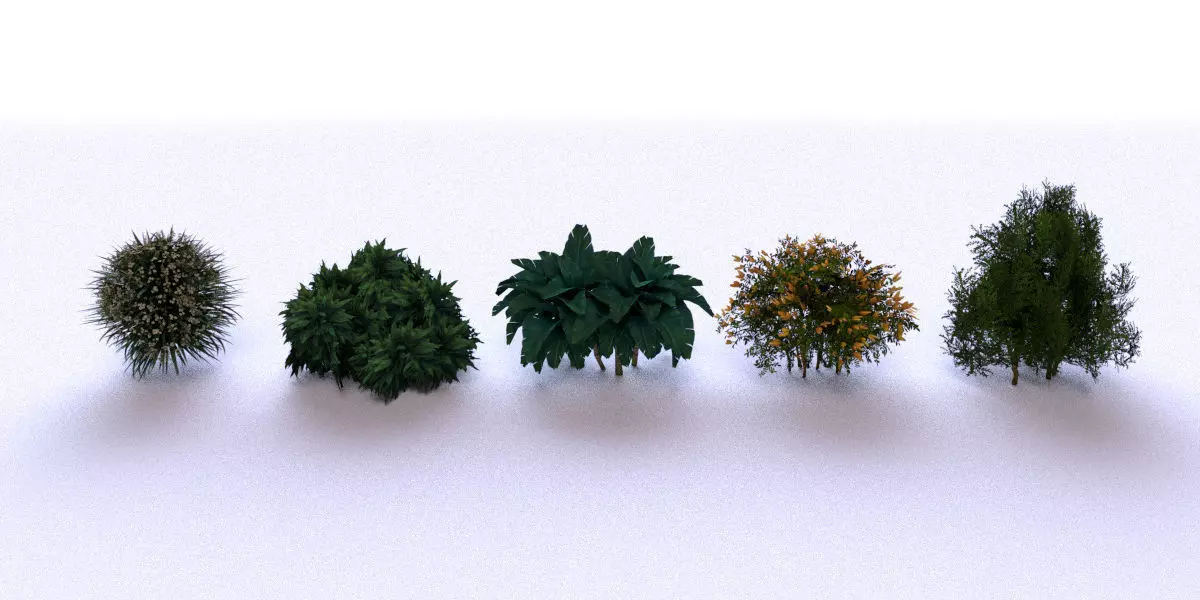 Garden Bush Low-poly 3D model_0