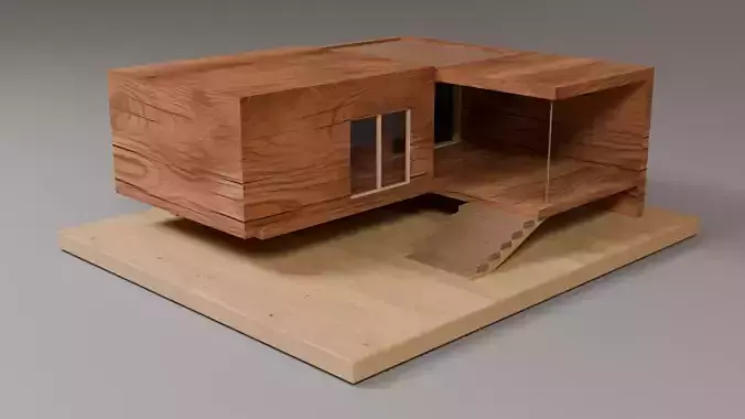 Modern Wooden House