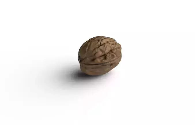 Walnut M09