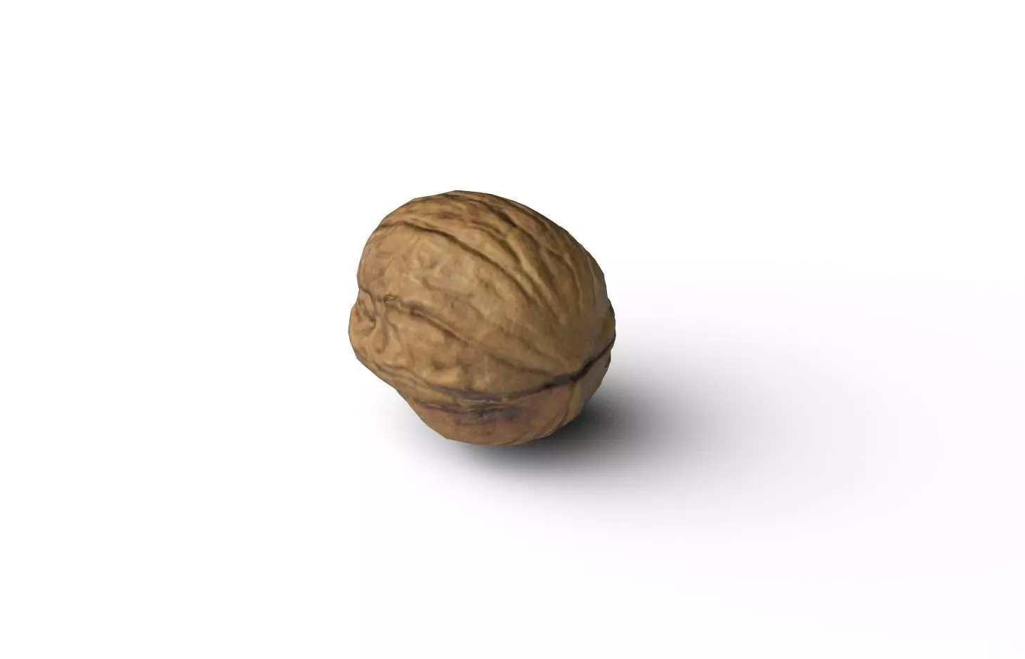 Walnut M10 Low-poly 3D model_4