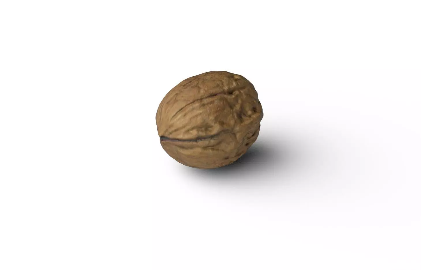 Walnut M10 Low-poly 3D model_5