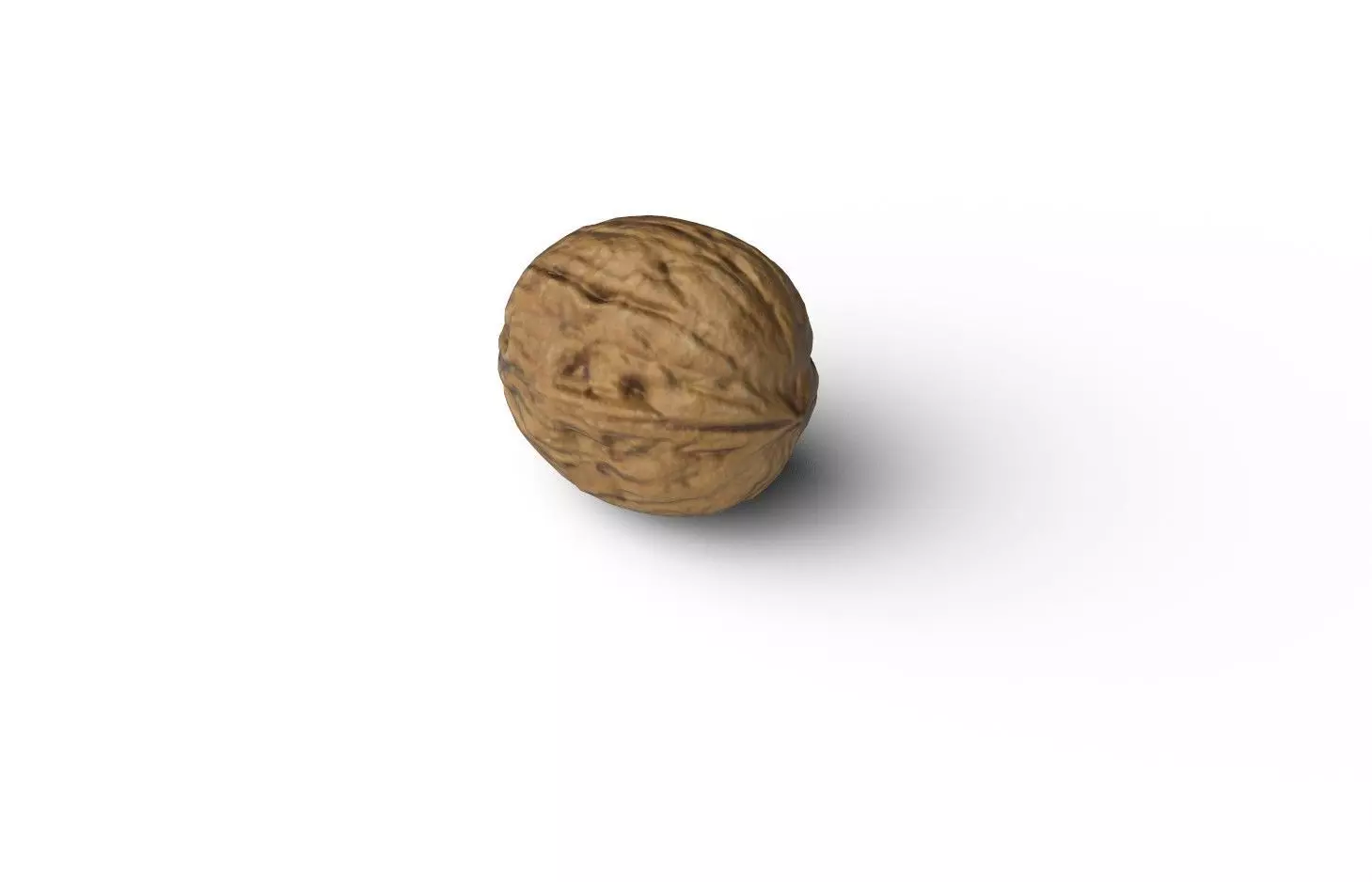 Walnut M10 Low-poly 3D model_6