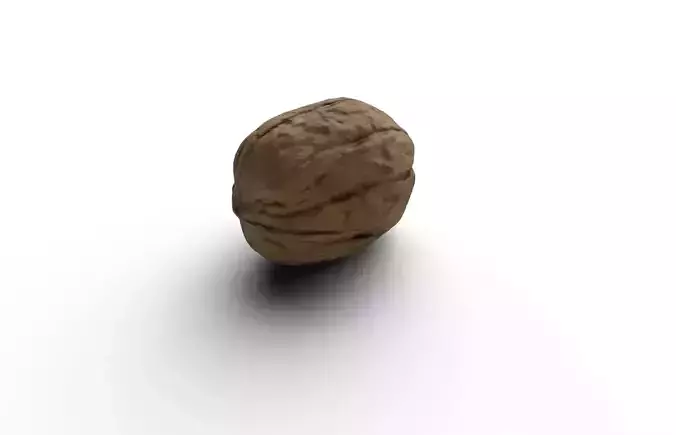Walnut M11 Low-poly 3D model 6