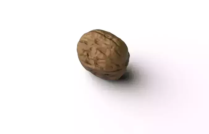 Walnut M11 Low-poly 3D model 5