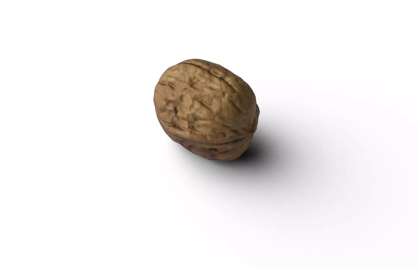 Walnut M11 Low-poly 3D model_4