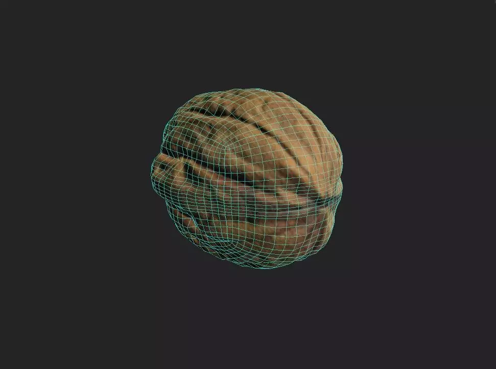Walnut M11 Low-poly 3D model_7
