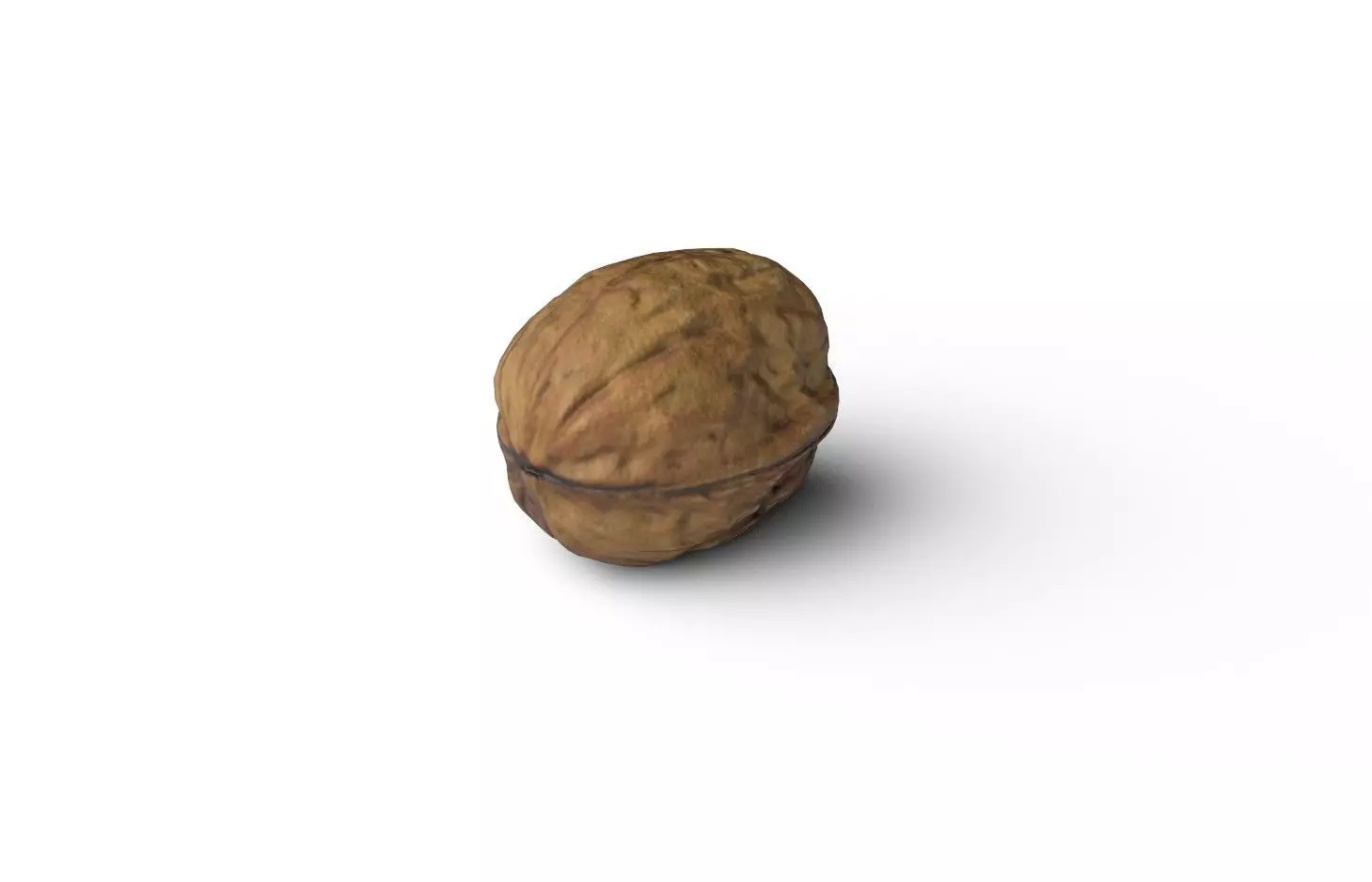Walnut M11 Low-poly 3D model_0