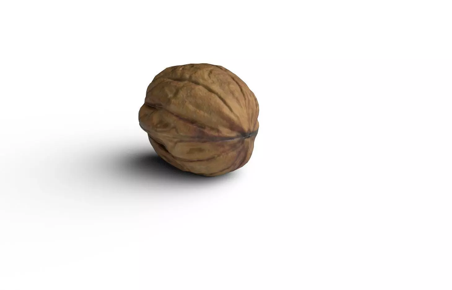 Walnut M11 Low-poly 3D model_6
